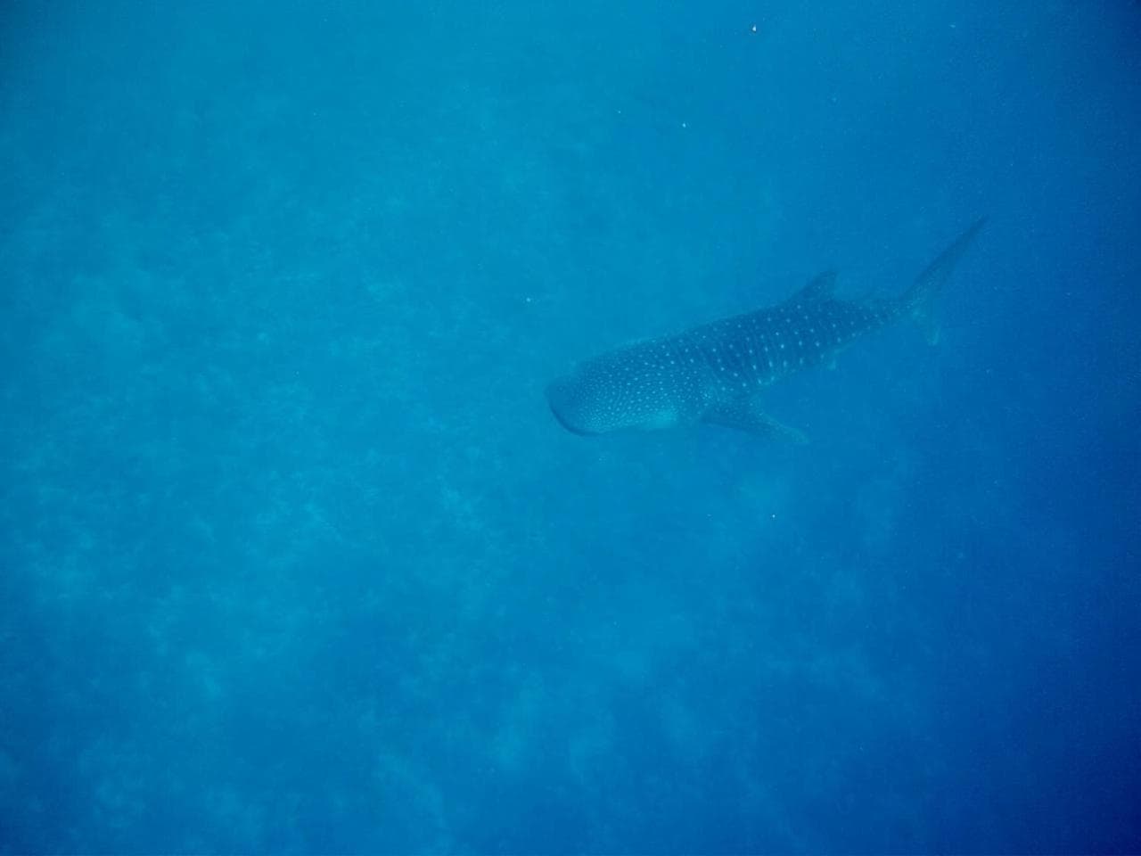 Veli Beach Inn - View 56