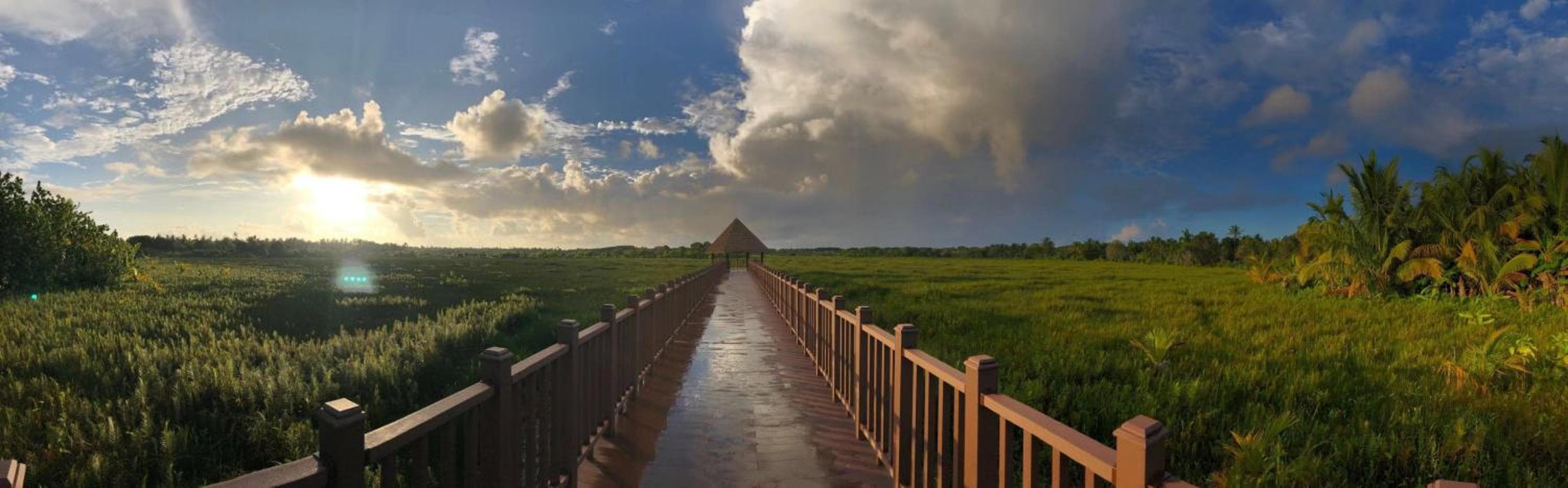 Tiger Shark Residence & Dive - View 23