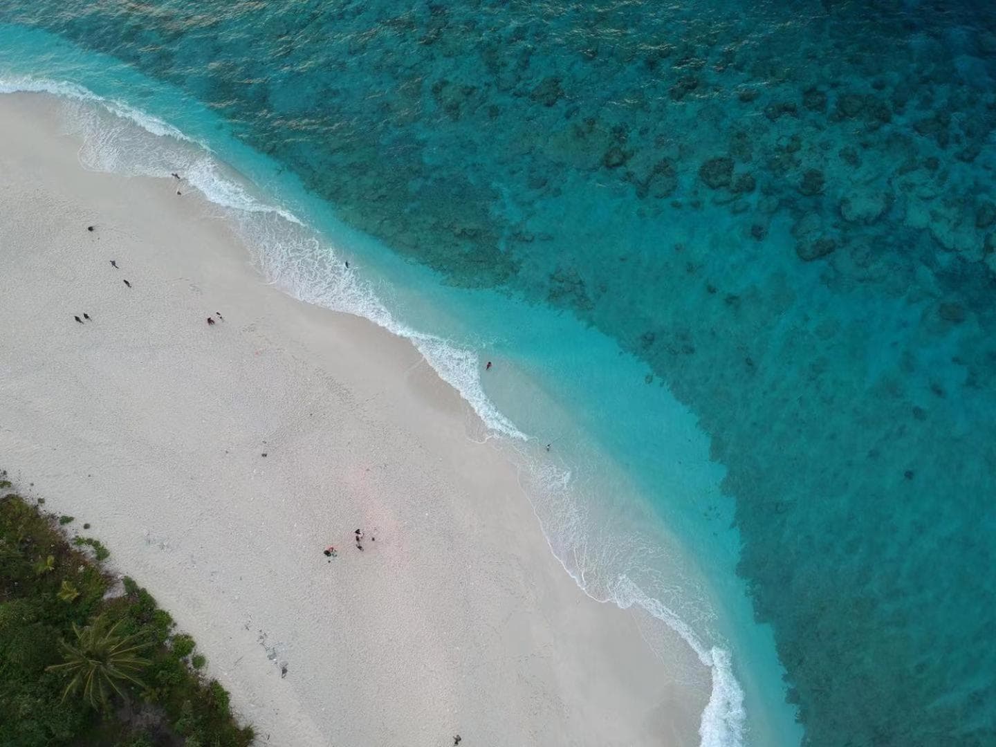 Tiger Shark Residence & Dive - View 24
