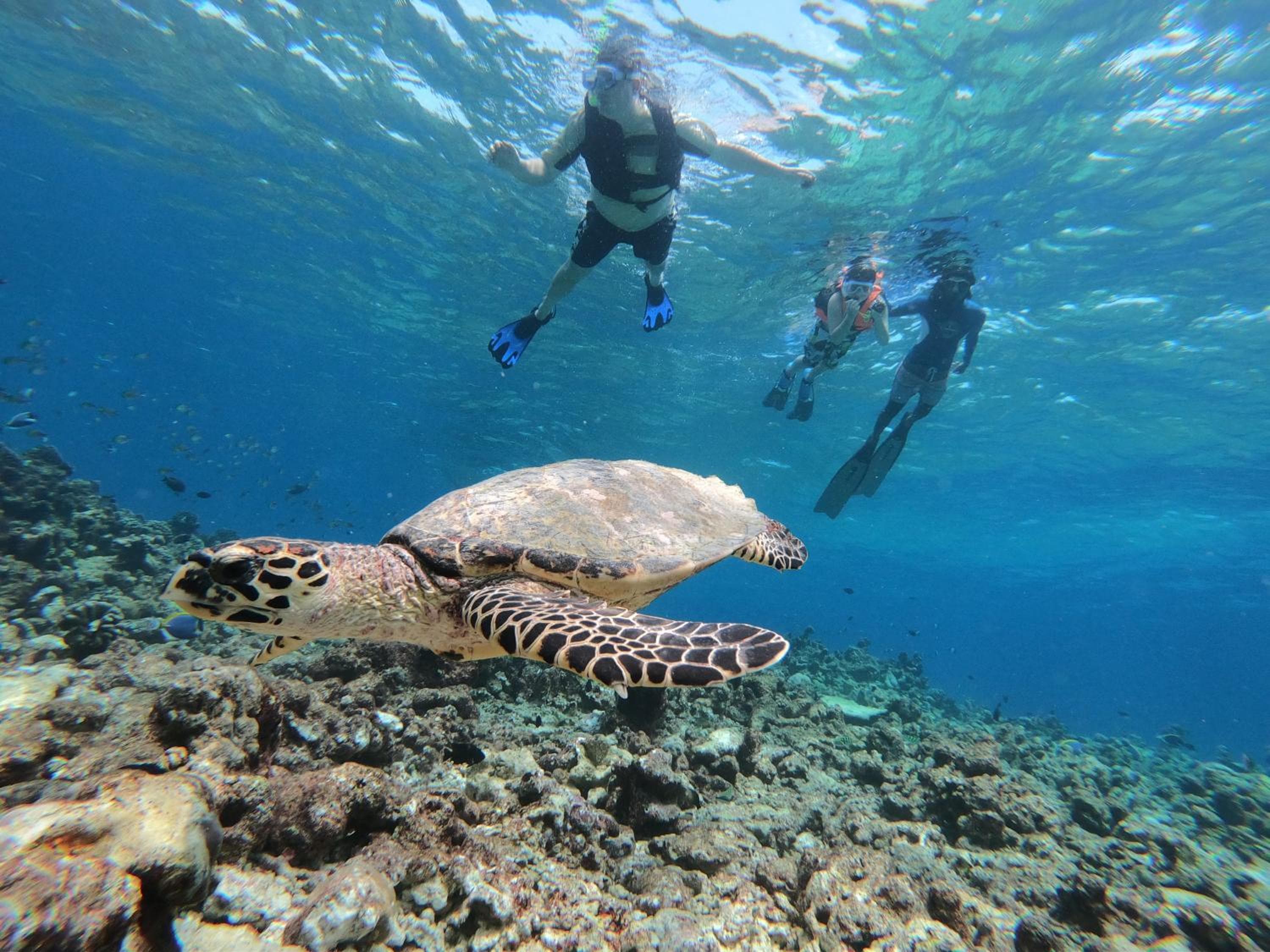 Acqua Blu Rasdhoo - View 6