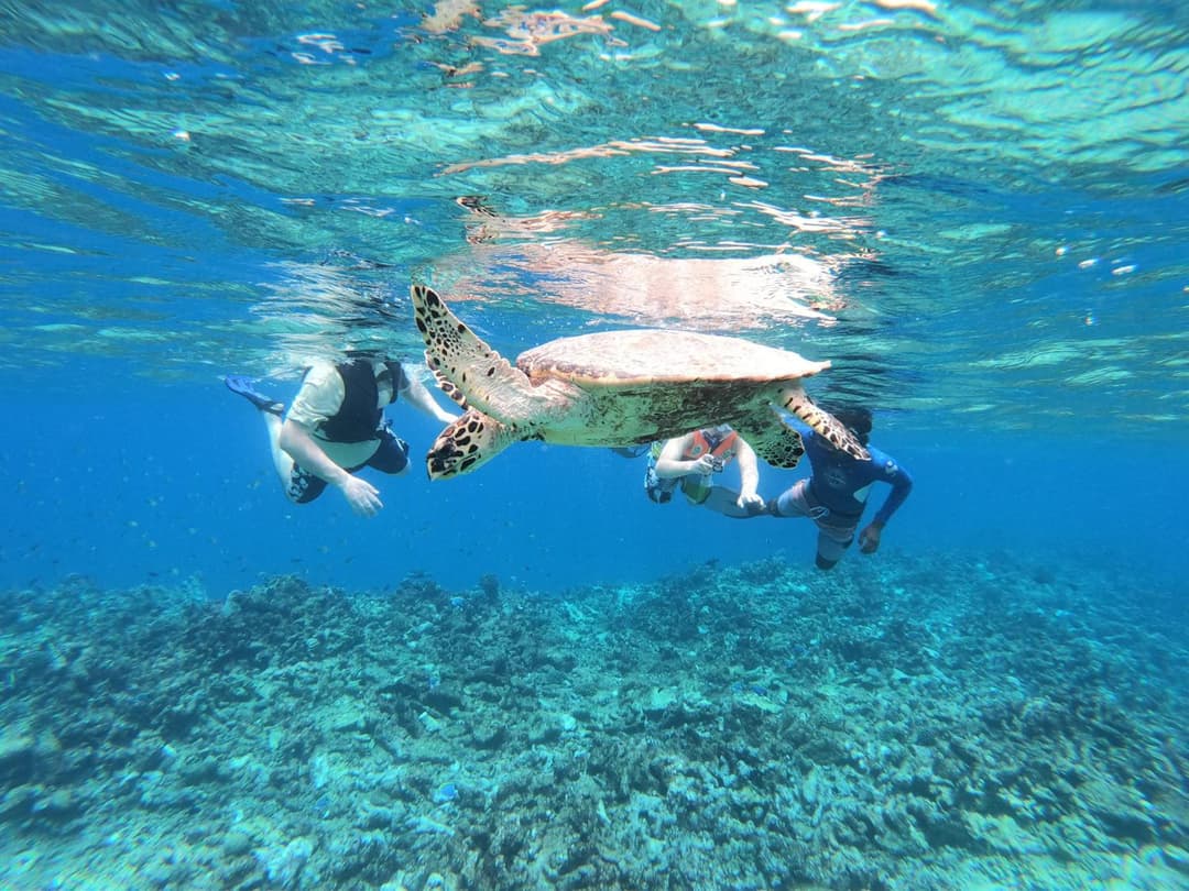 Acqua Blu Rasdhoo - View 99