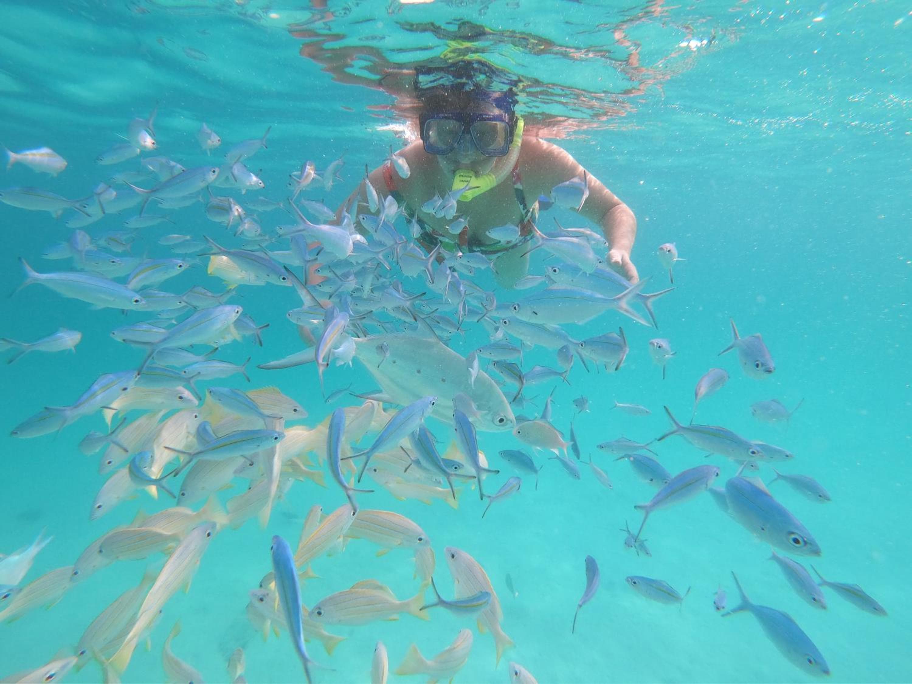 Acqua Blu Rasdhoo - View 5