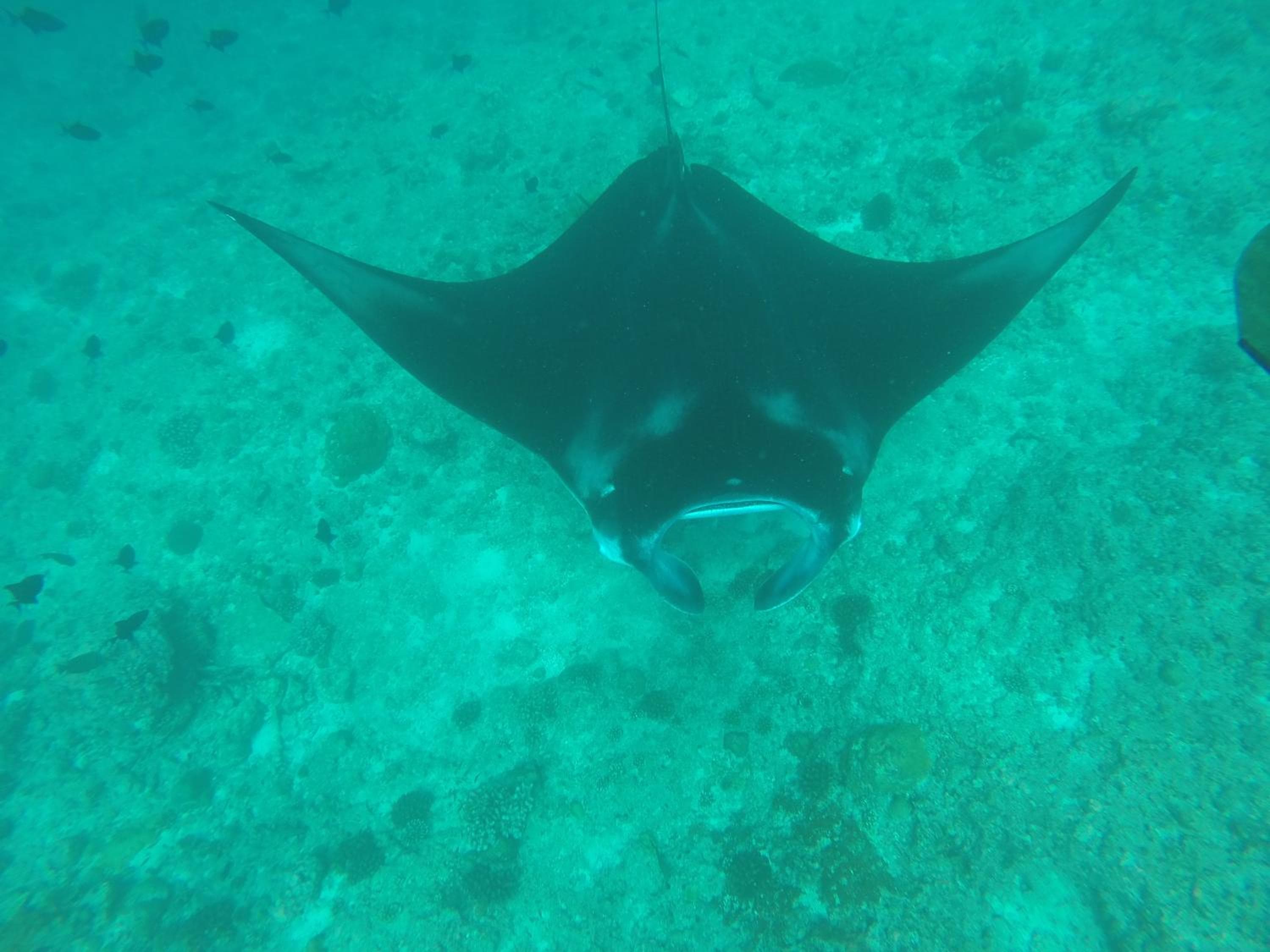 Dravida Hotel - View 34