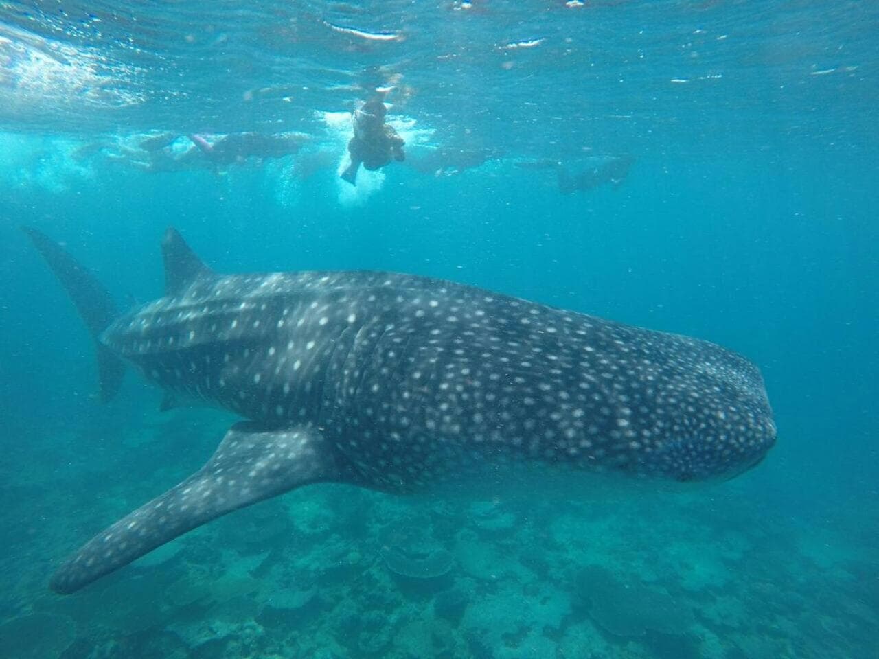 Dravida Hotel - View 23