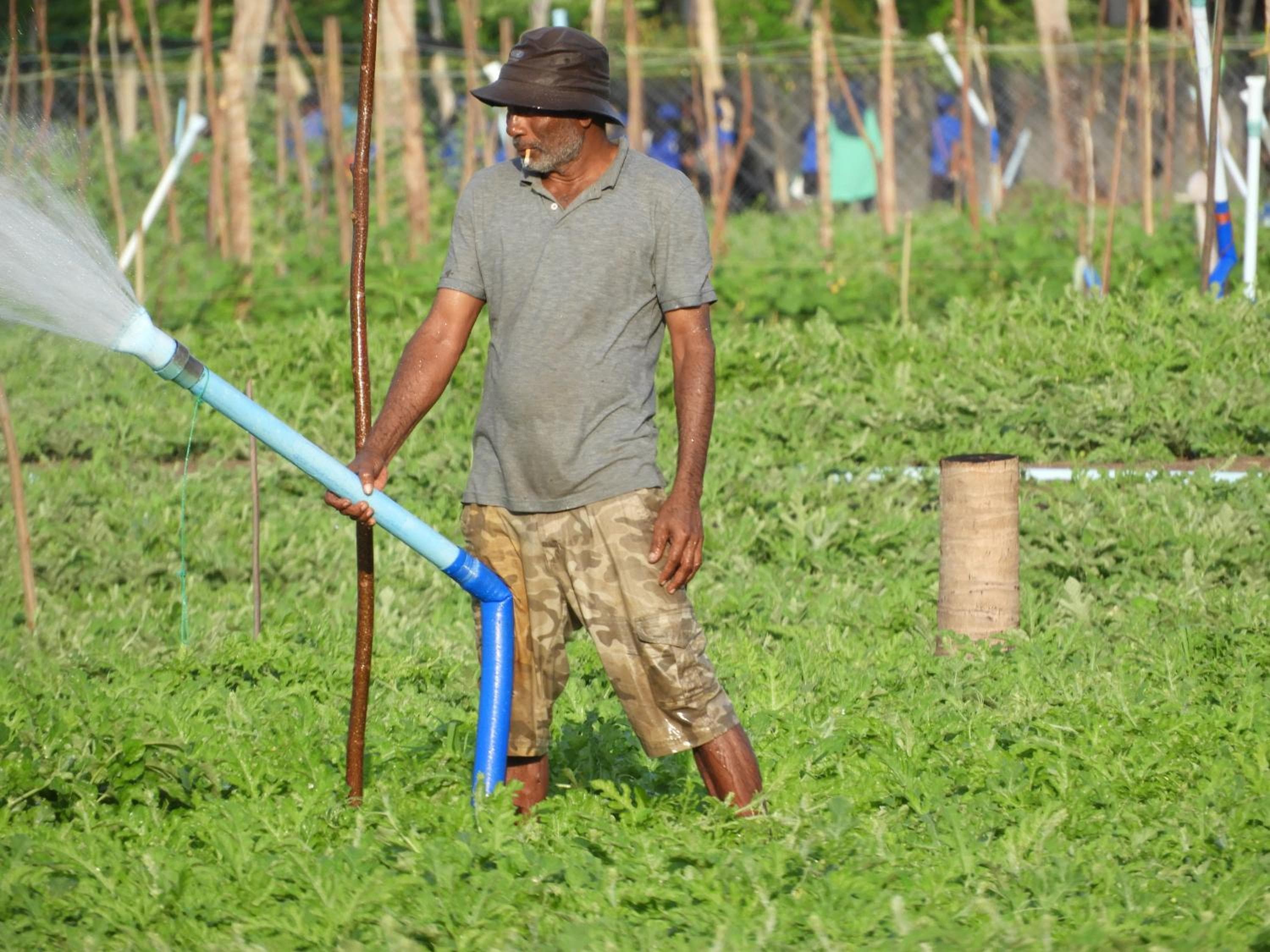 Karaa Village - View 50