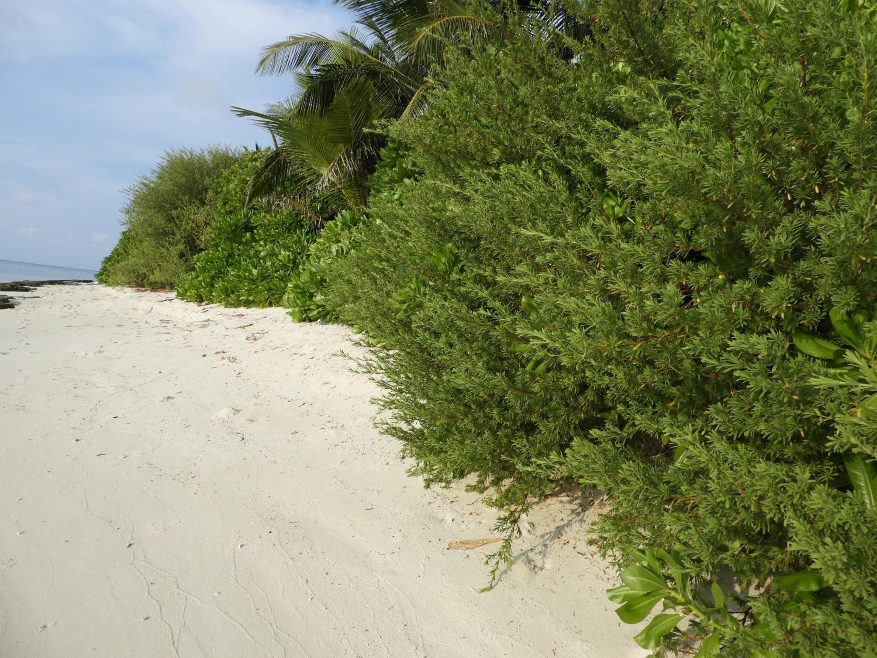 Karaa Village - View 41