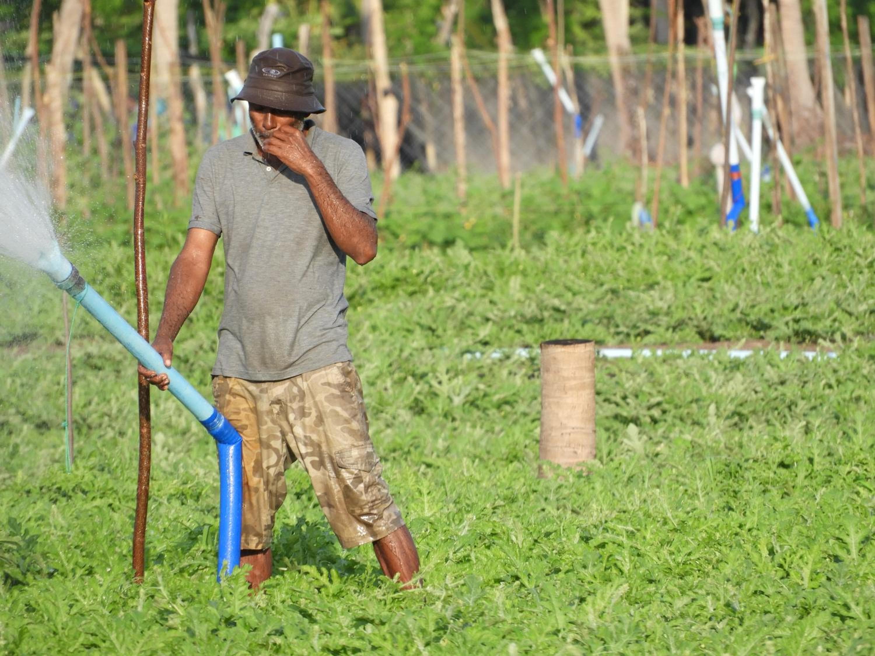 Karaa Village - View 38