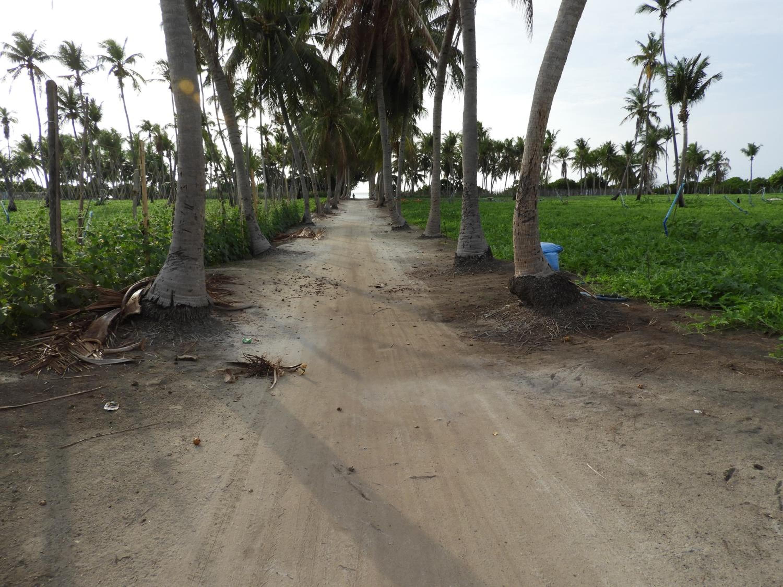 Karaa Village - View 34