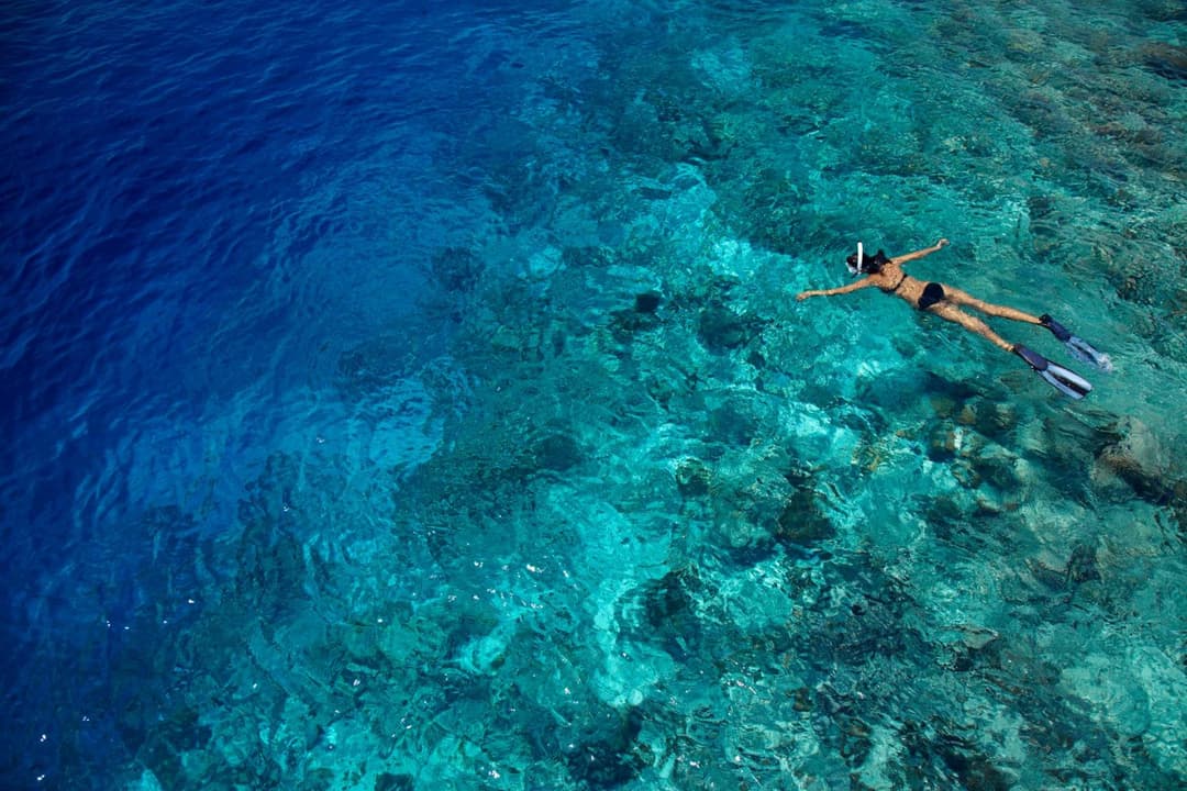 Dusit Thani Maldives - 50 percent off on Transfers for Stays of 5 Nights stay until 20 December 2026 - View 31