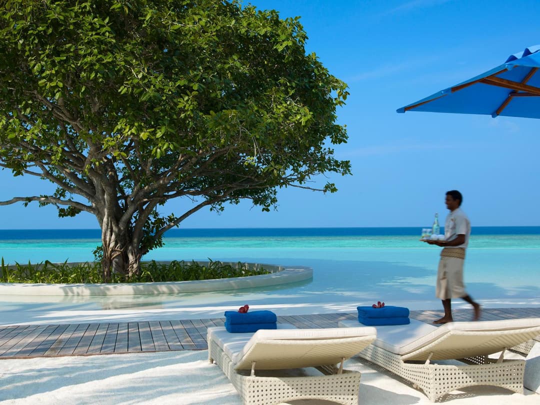 Dusit Thani Maldives - 50 percent off on Transfers for Stays of 5 Nights stay until 20 December 2026 - View 71