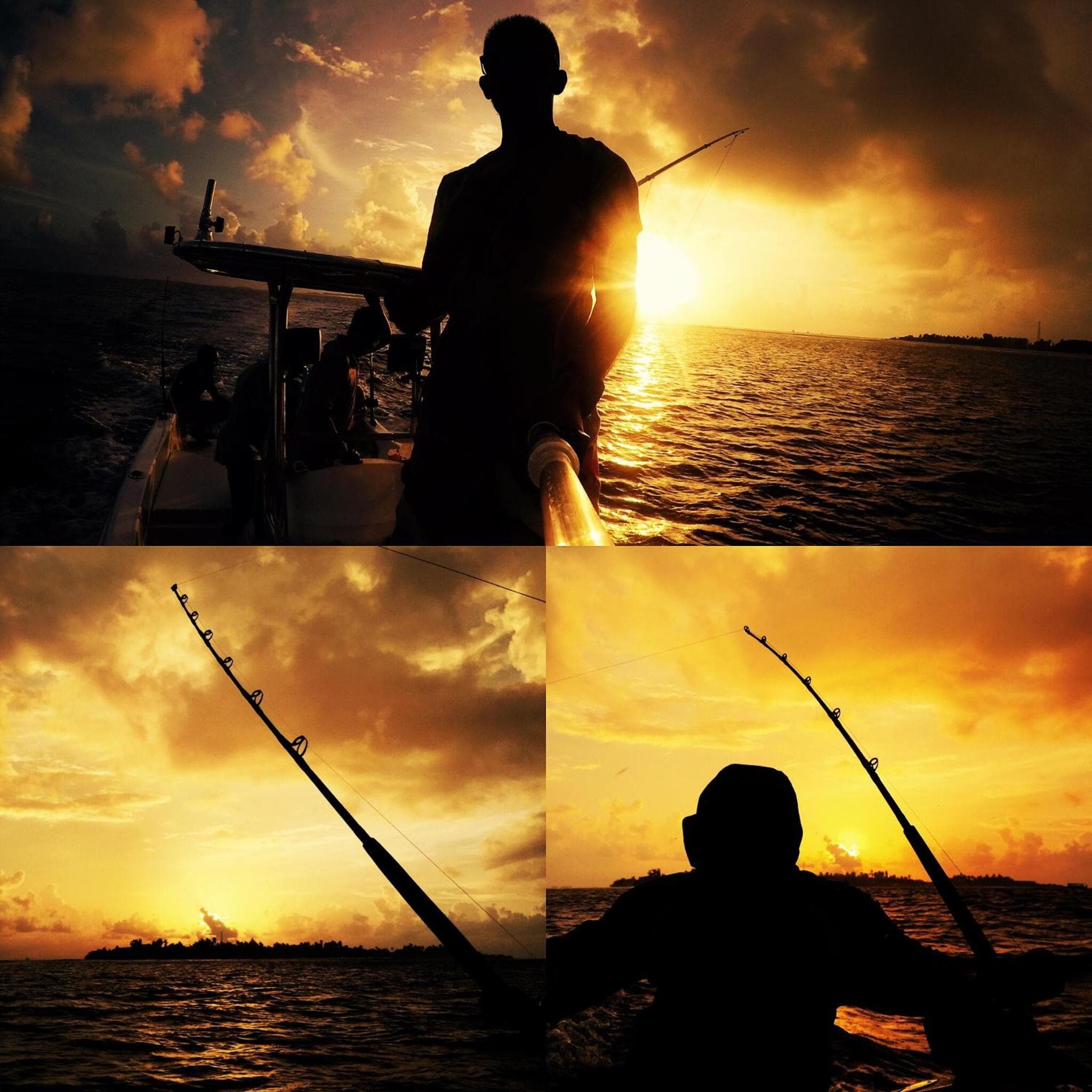 The Beehive - View 54