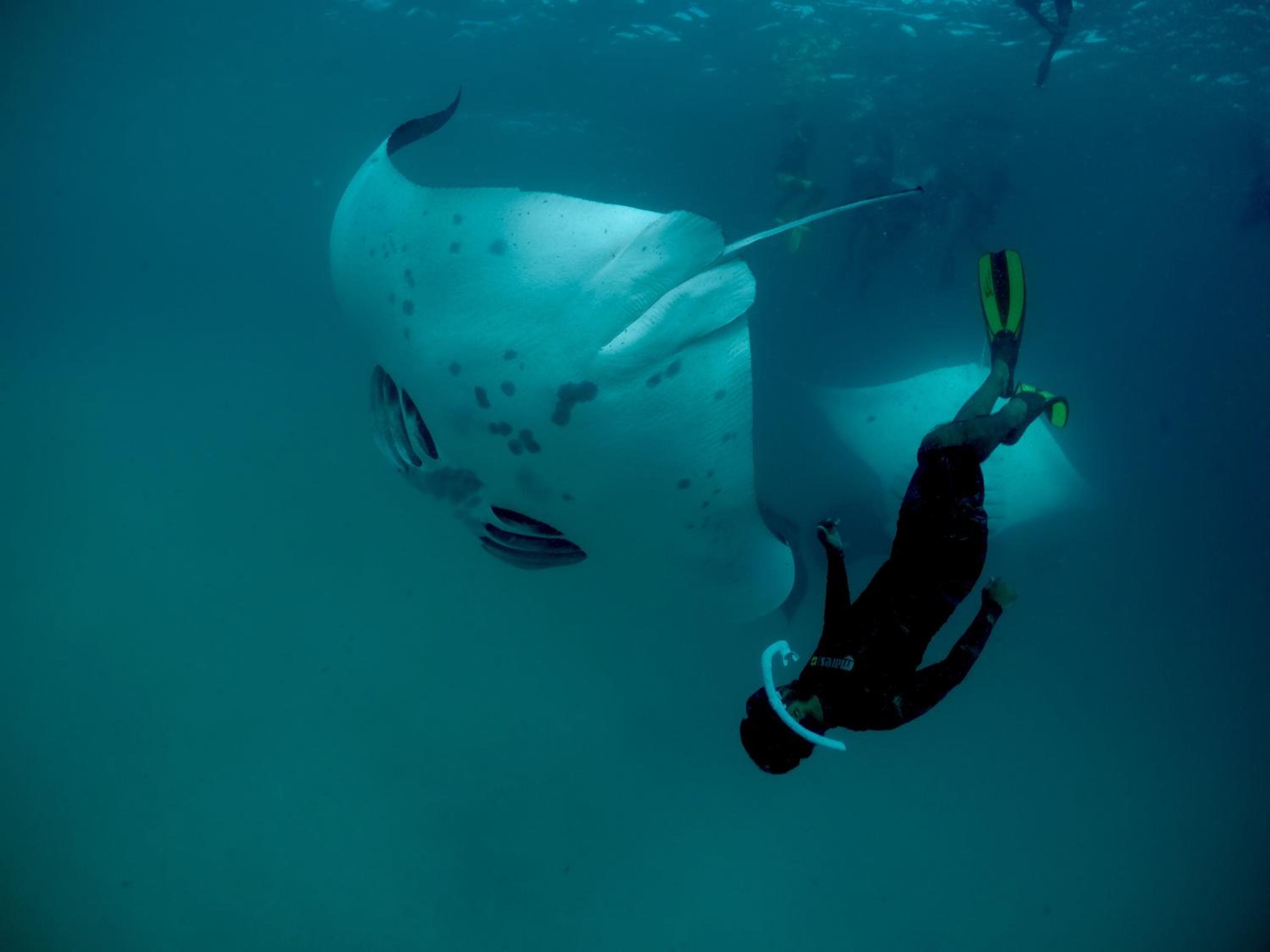 The Beehive - View 53