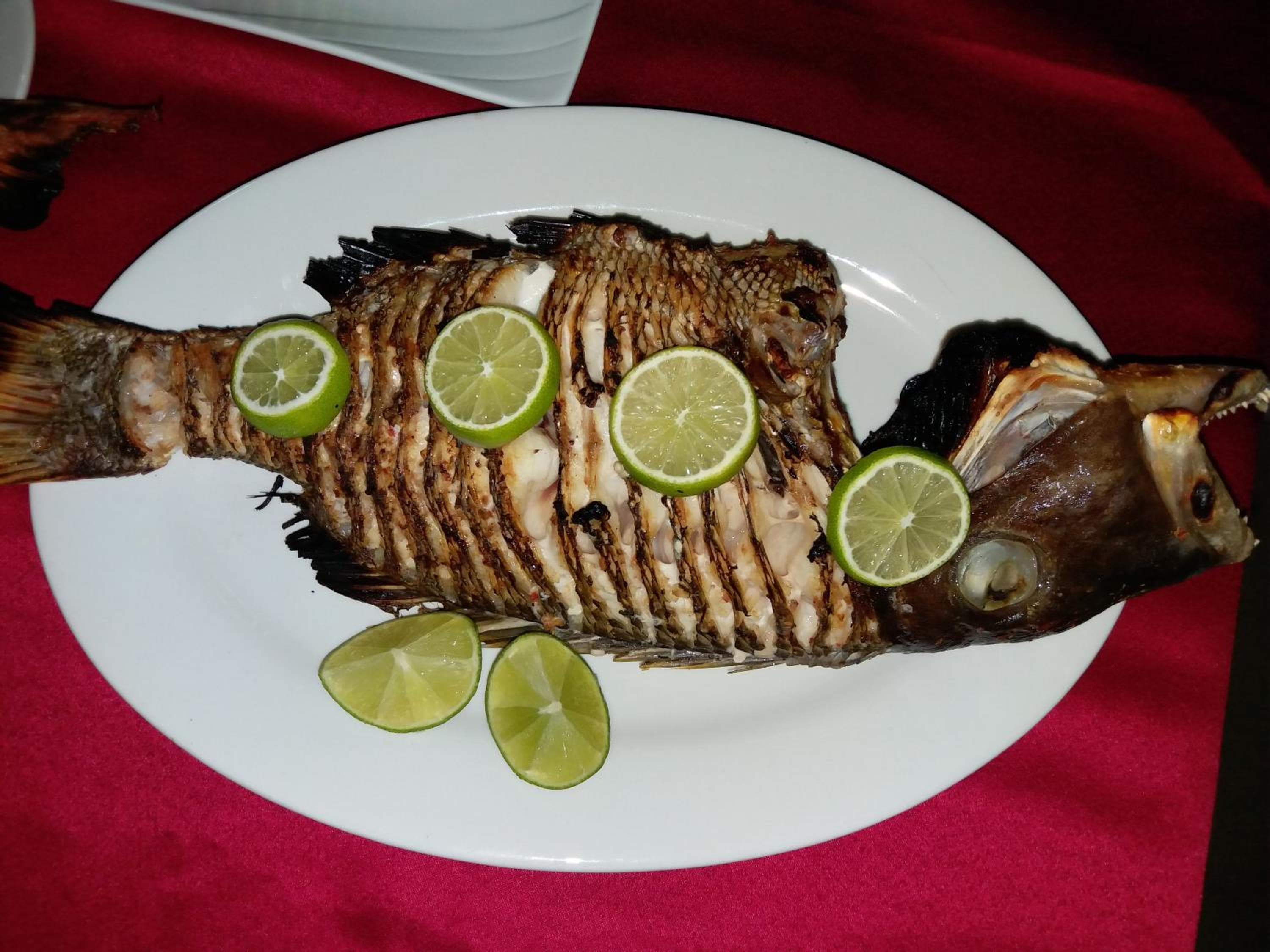 Ras Rana Lodge - View 90