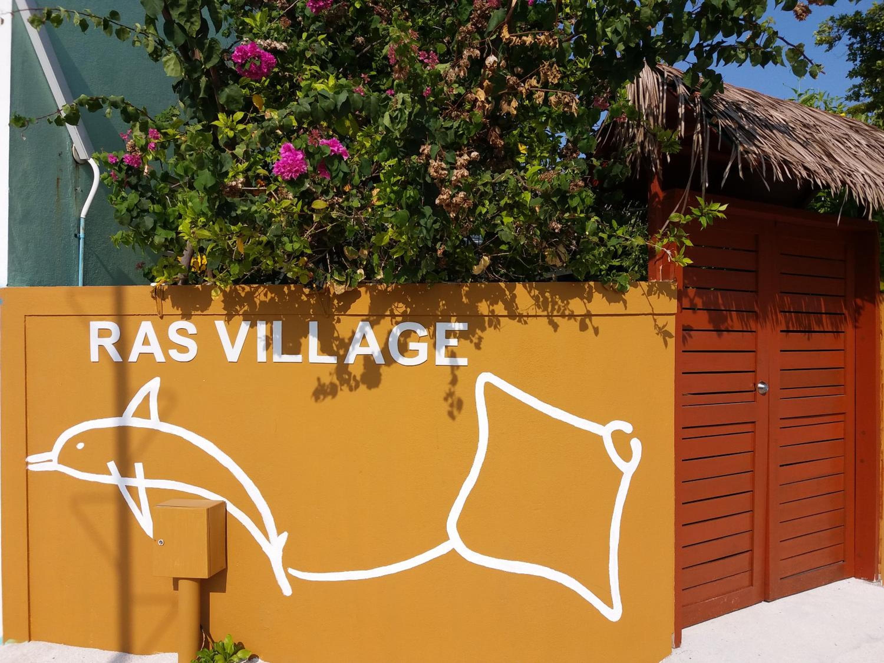 Ras Rana Lodge - View 89