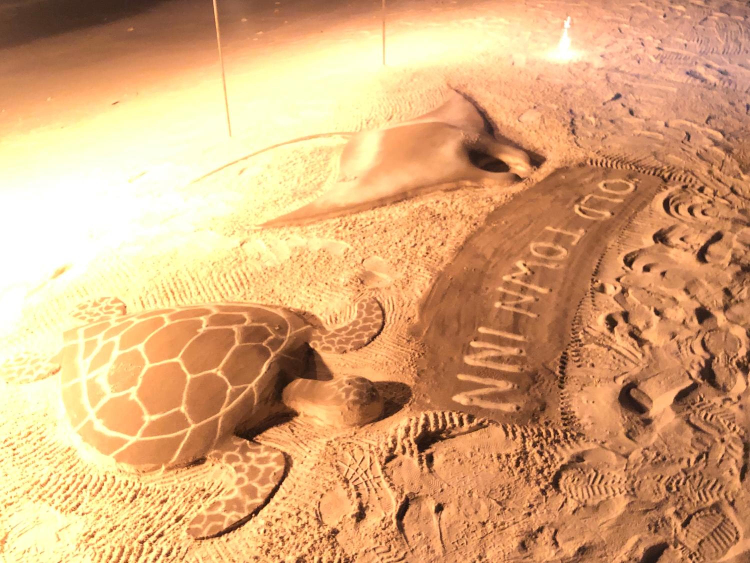 Old Town Inn Maldives - View 36