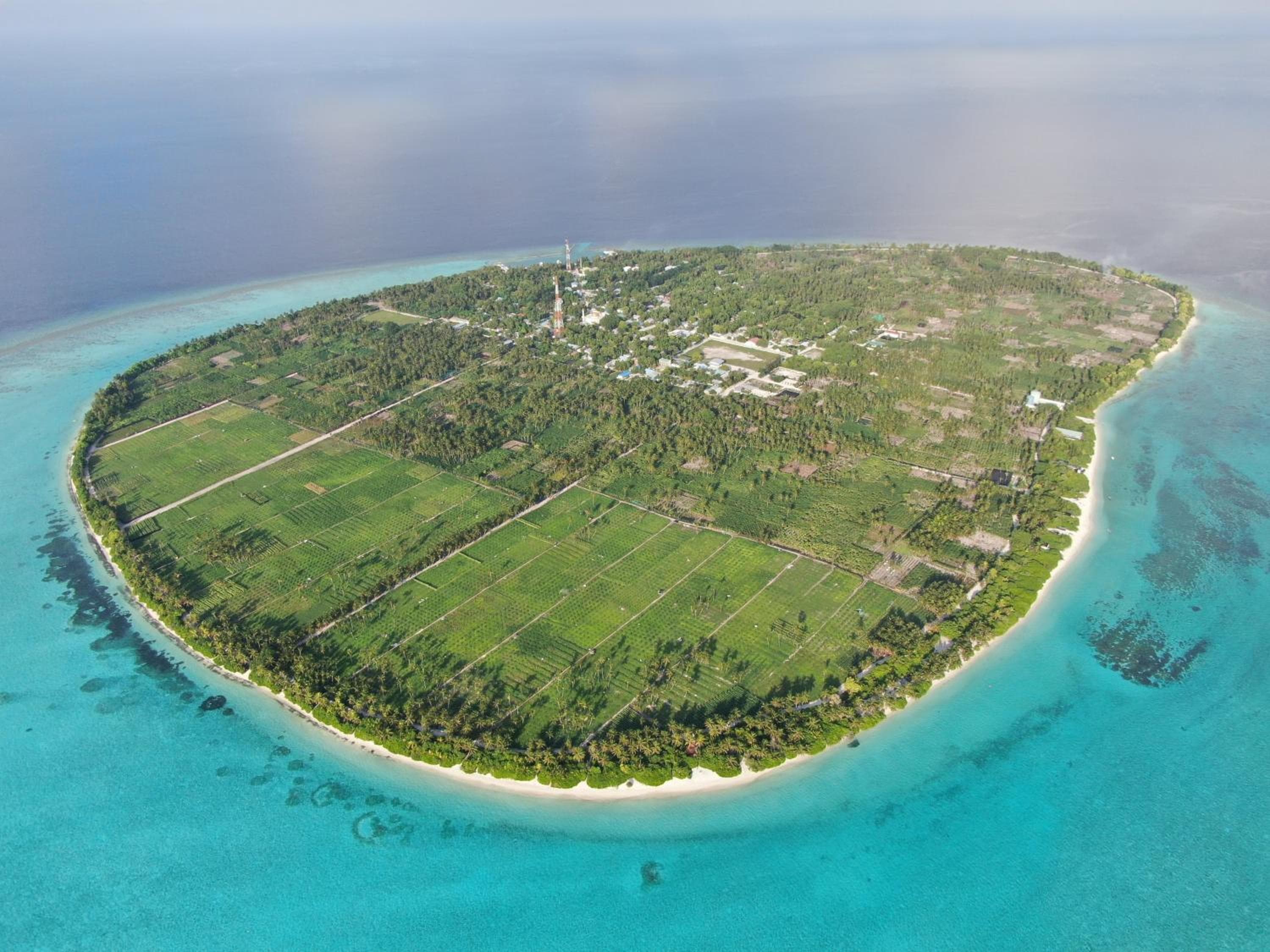 Summer inn Thoddoo - View 27