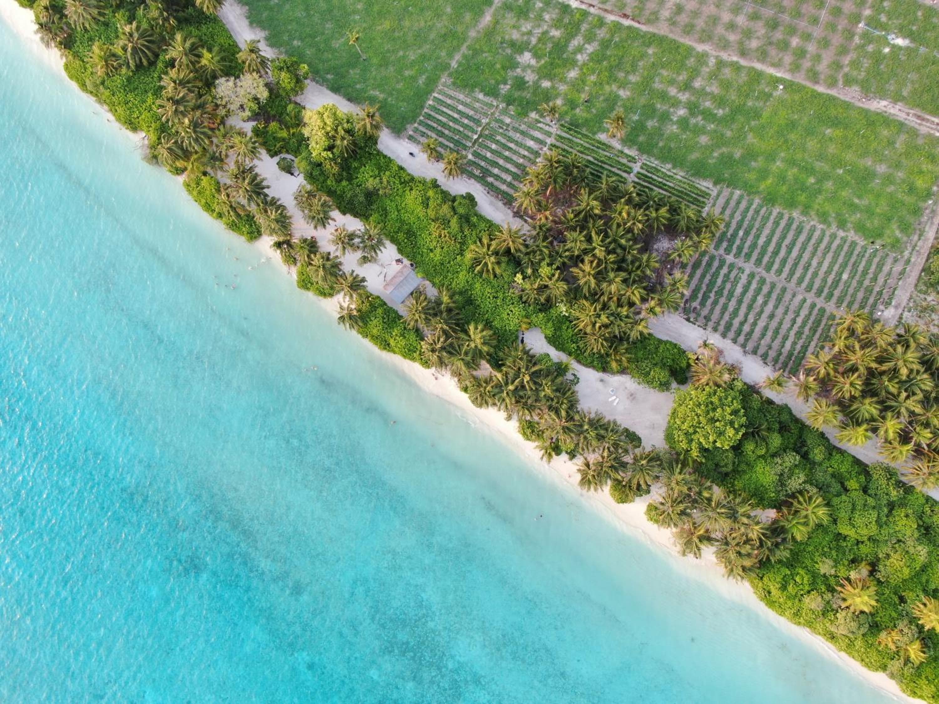 Summer inn Thoddoo - View 29