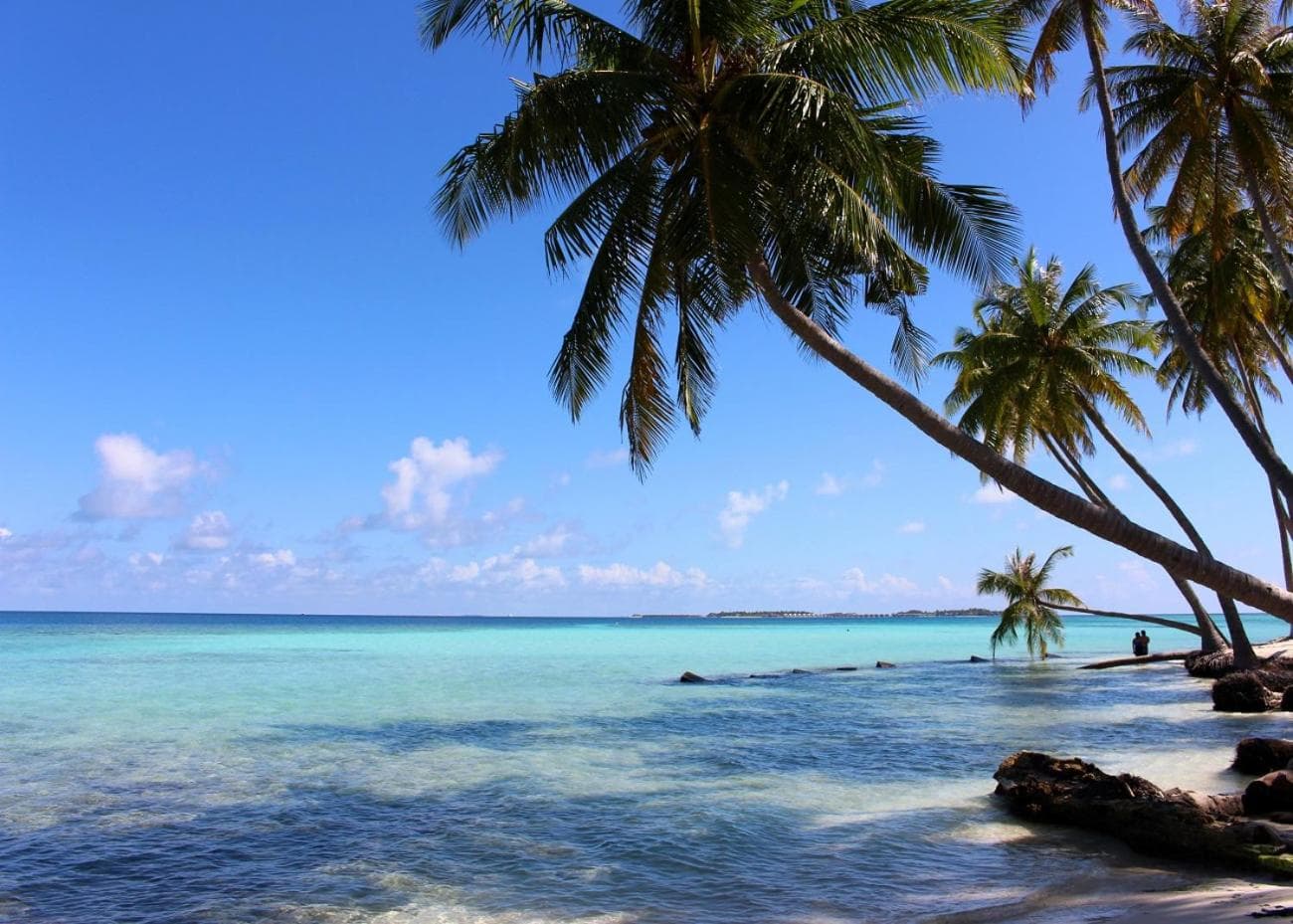 Rosemary Boutique - View 19