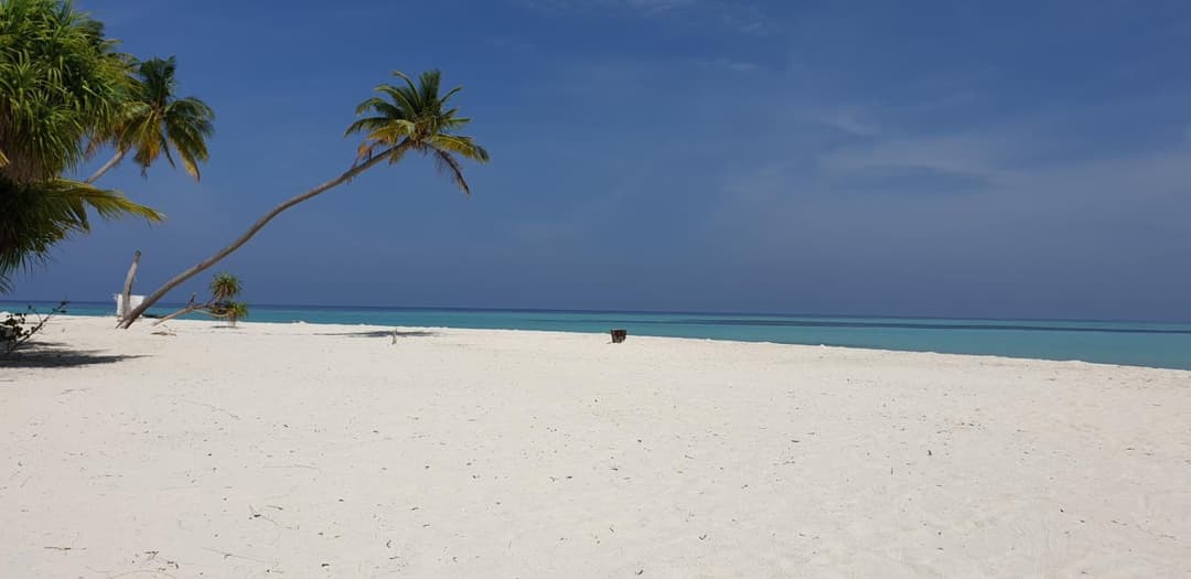 PERLA Dhangethi - View 84