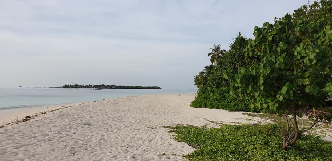 PERLA Dhangethi - View 60