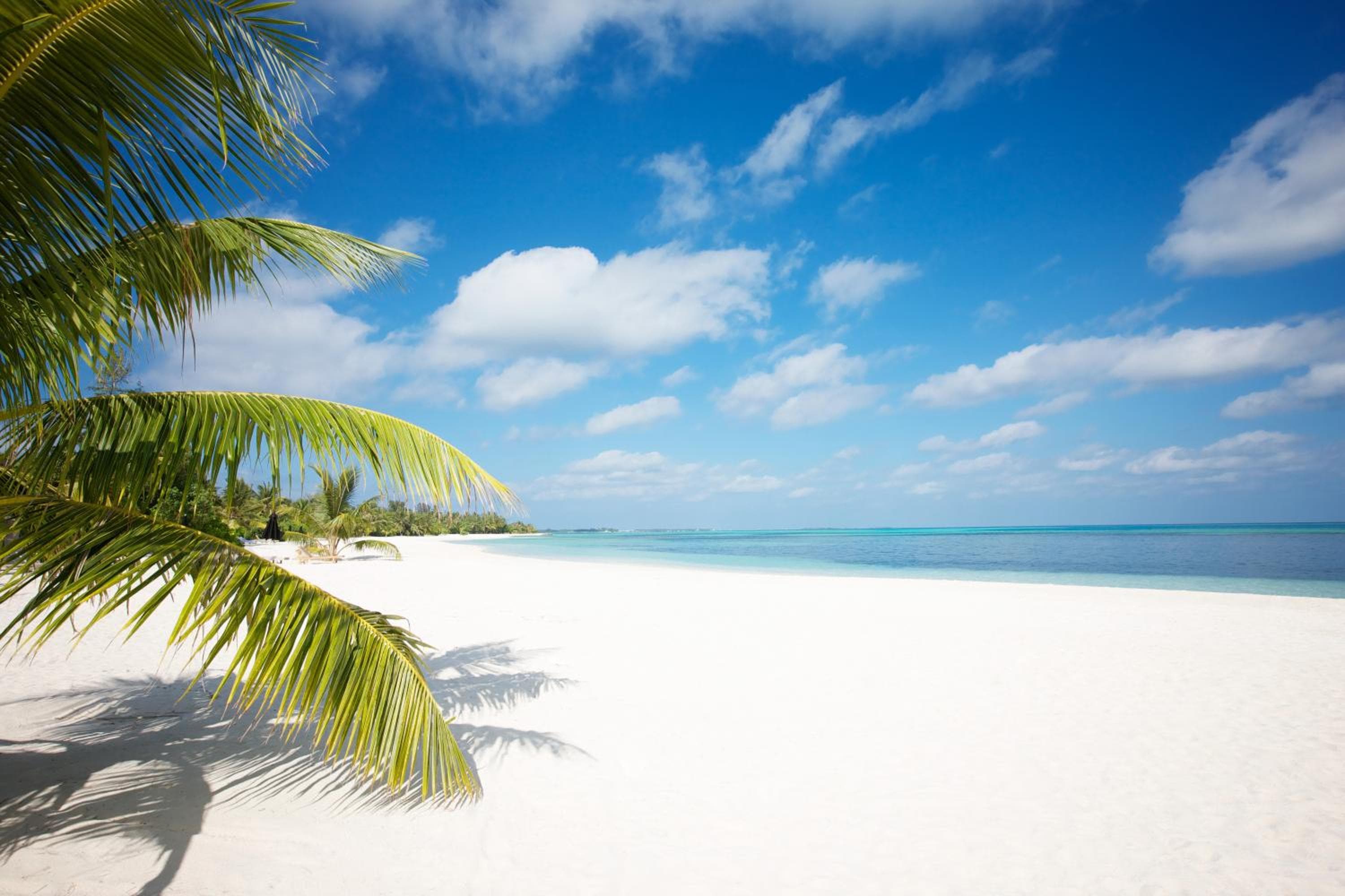 LUX* South Ari Atoll Resort & Villas - View 98