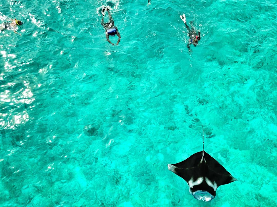 Athiri Beach Maldives - View 31