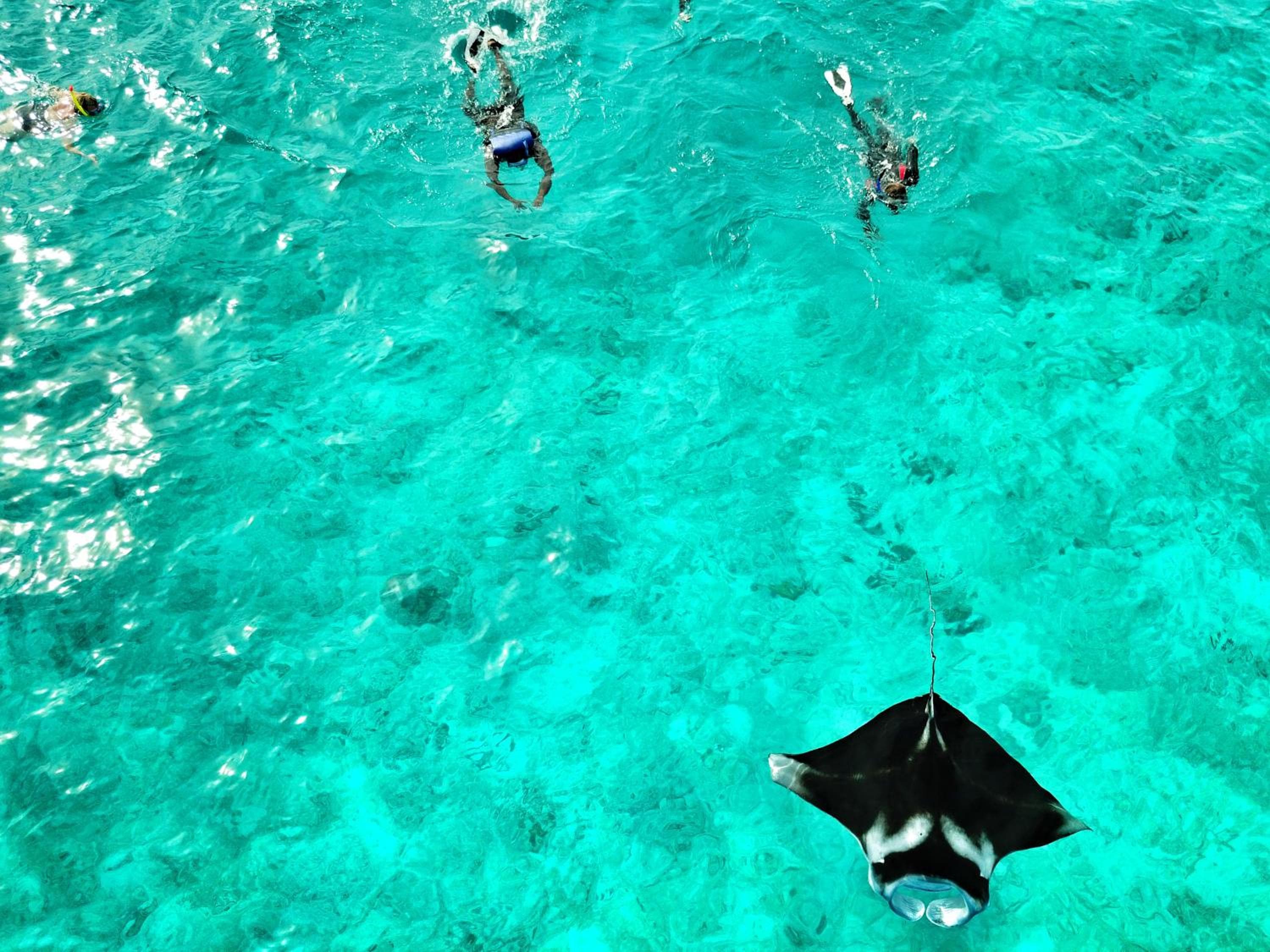 Athiri Beach Maldives - View 32