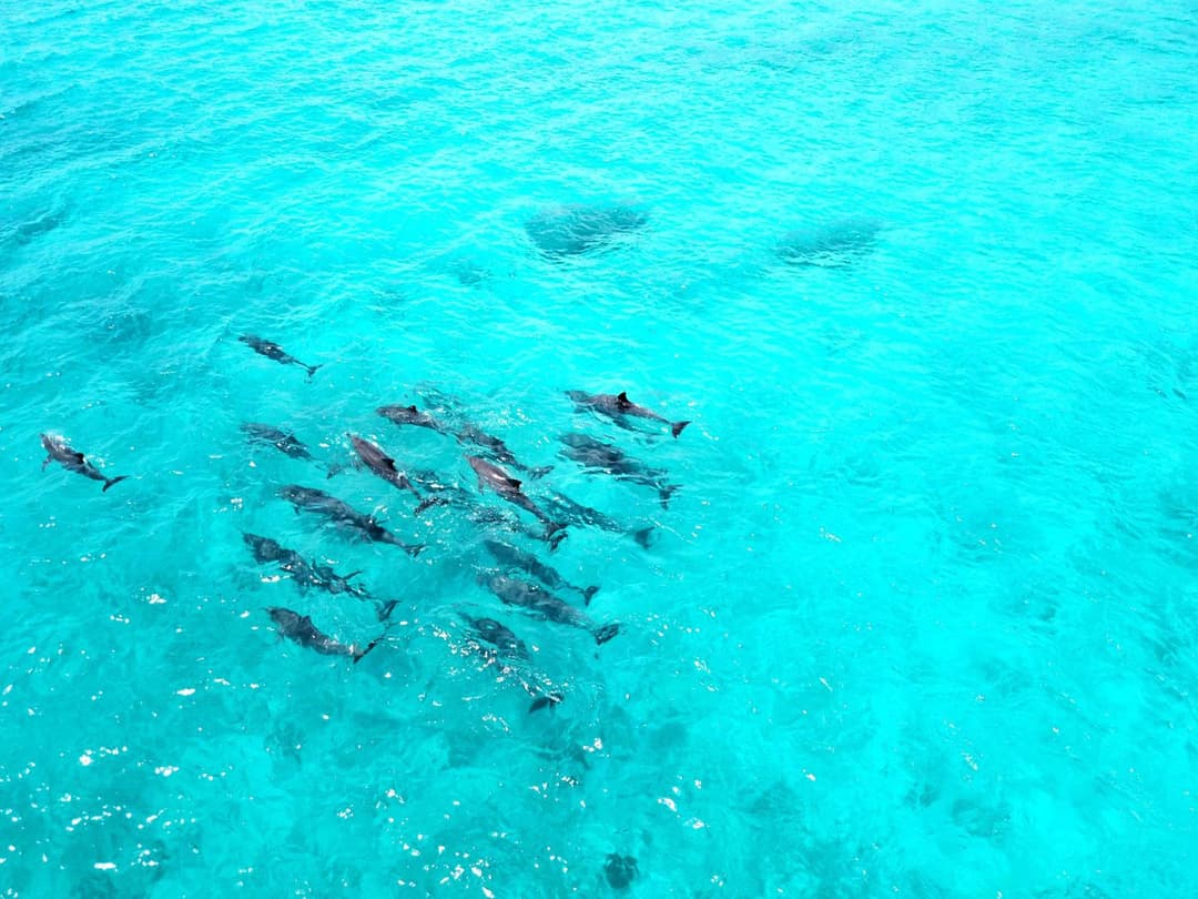 Athiri Beach Maldives - View 26