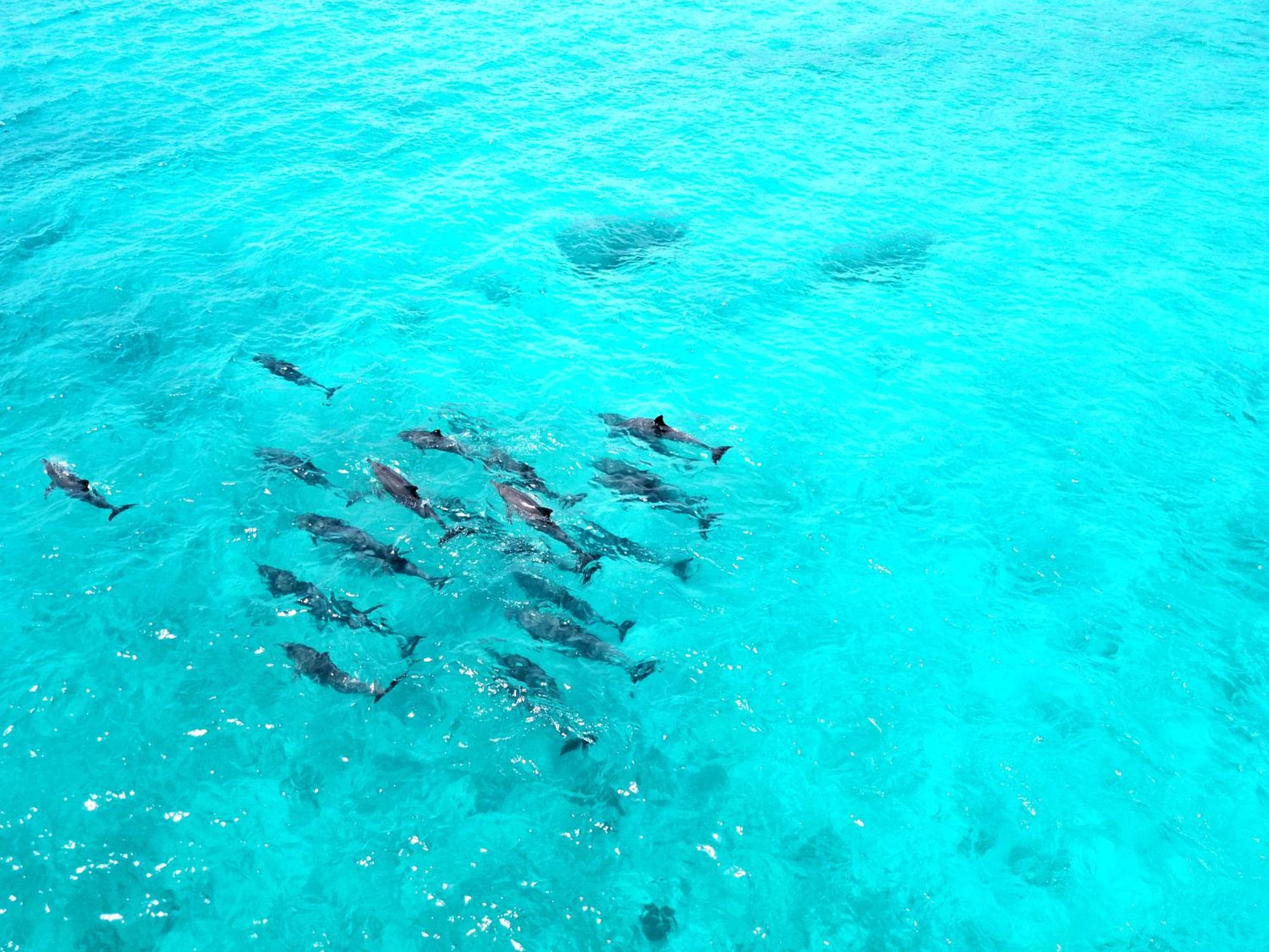 Athiri Beach Maldives - View 43