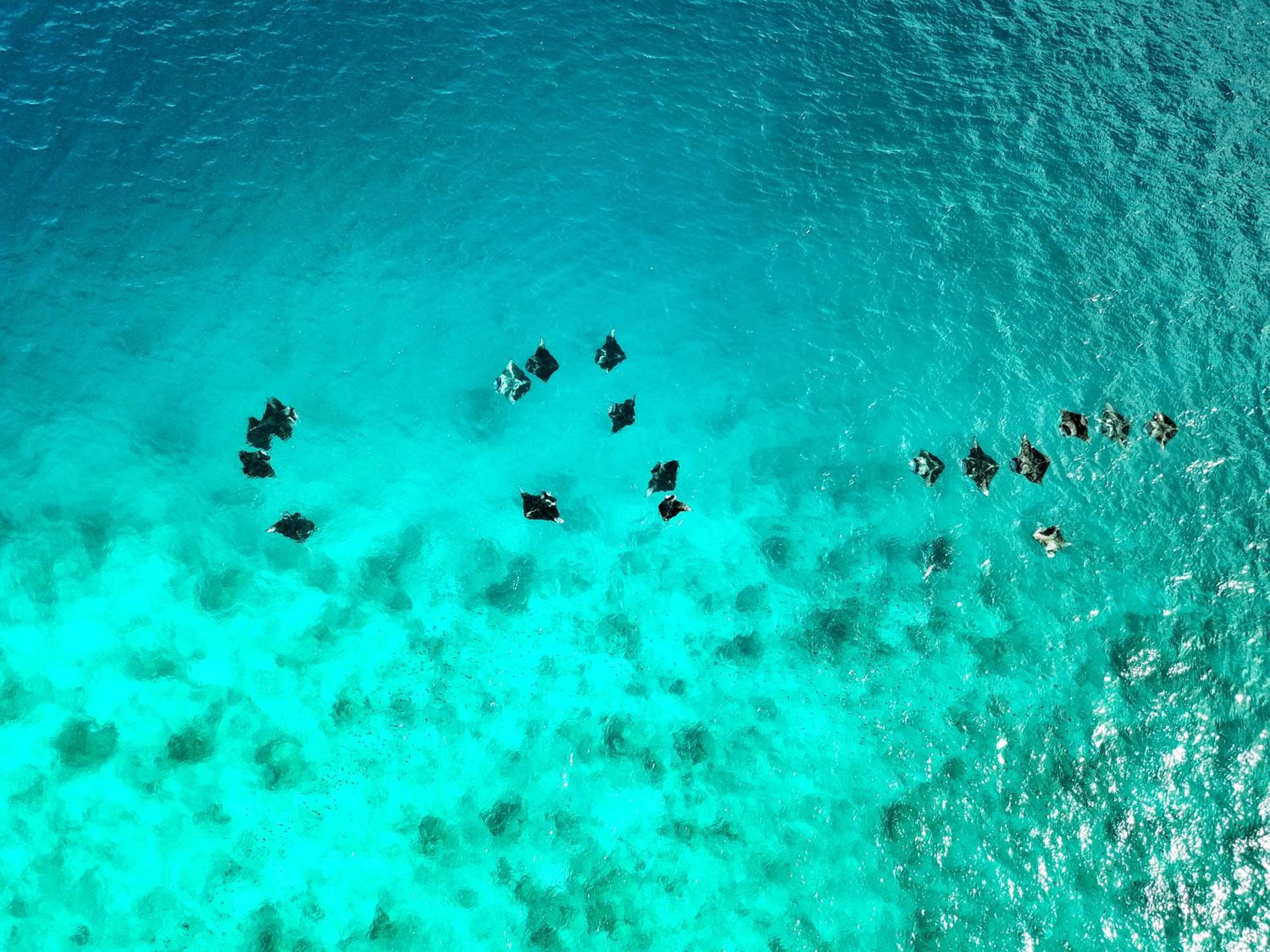 Athiri Beach Maldives - View 37