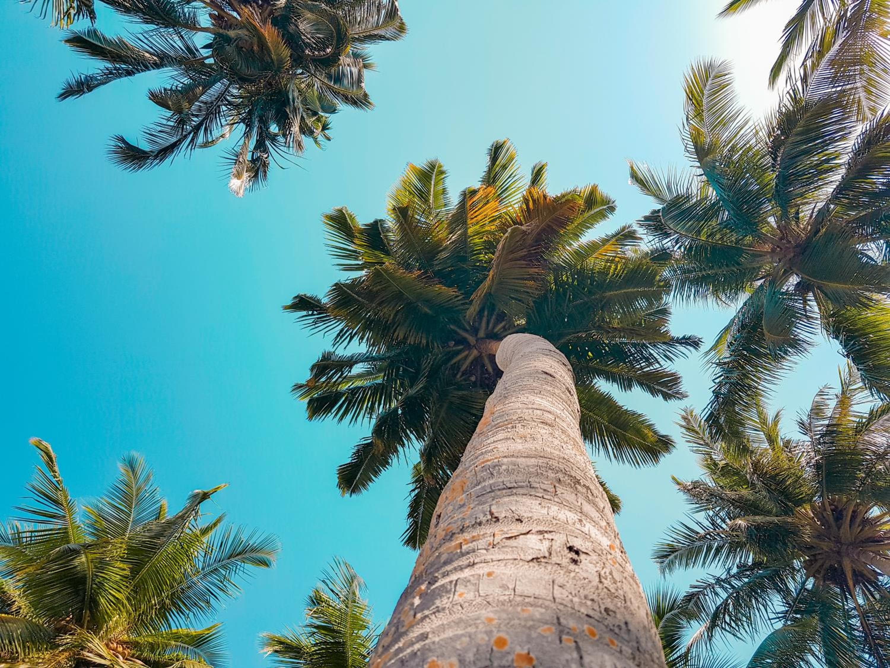 West Sands - View 46