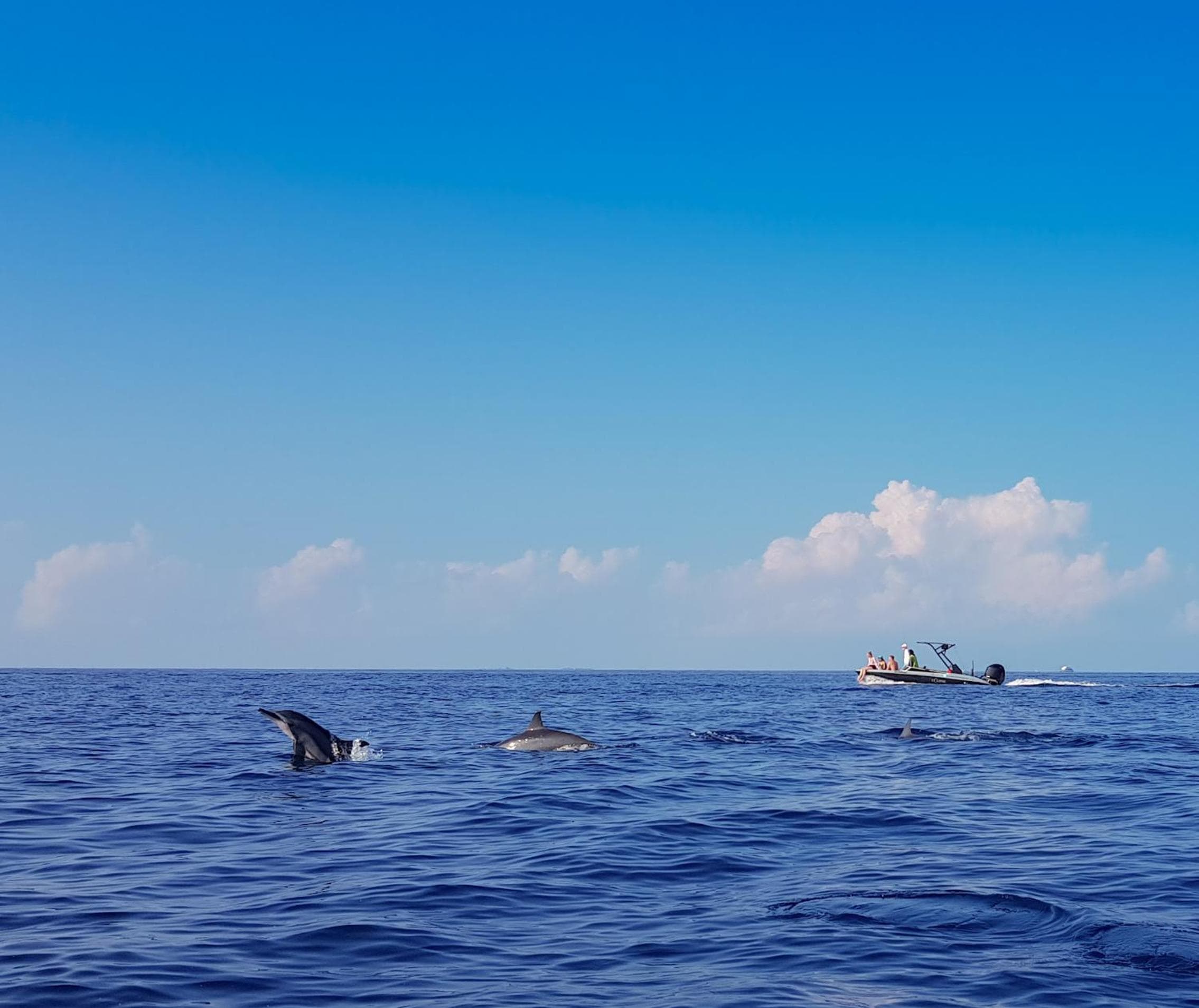 West Sands - View 19