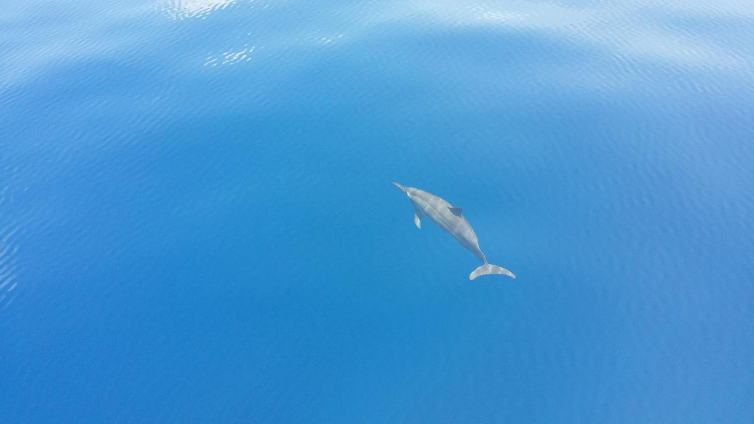 West Sands - View 40