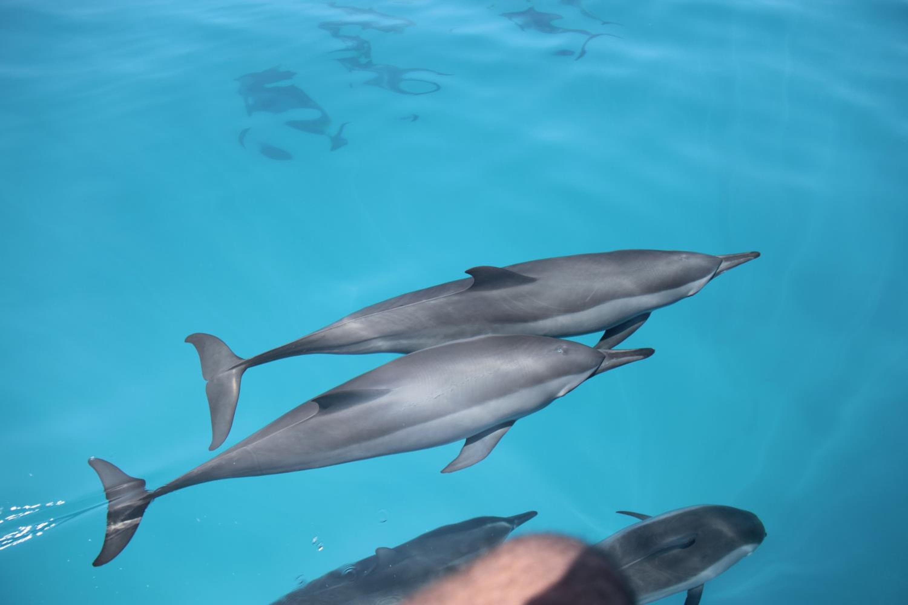 Summer Villa Guest House - View 53