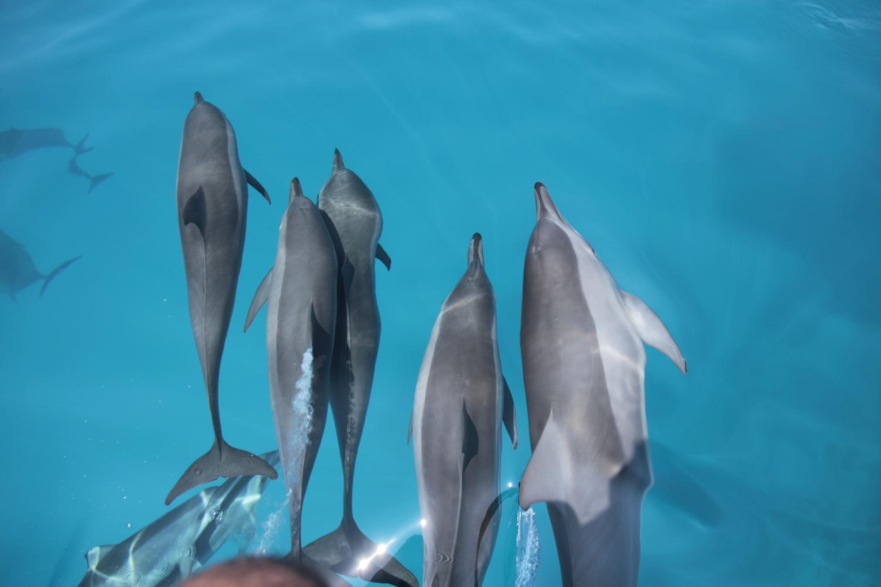 Summer Villa Guest House - View 52