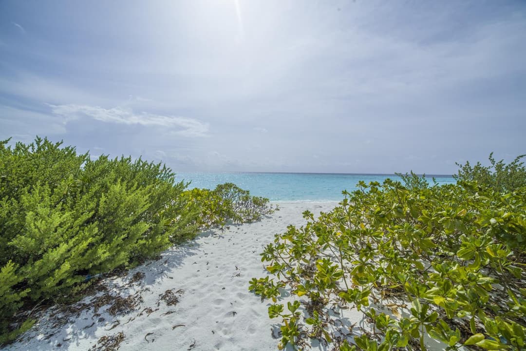 By the shade Maldives - View 65