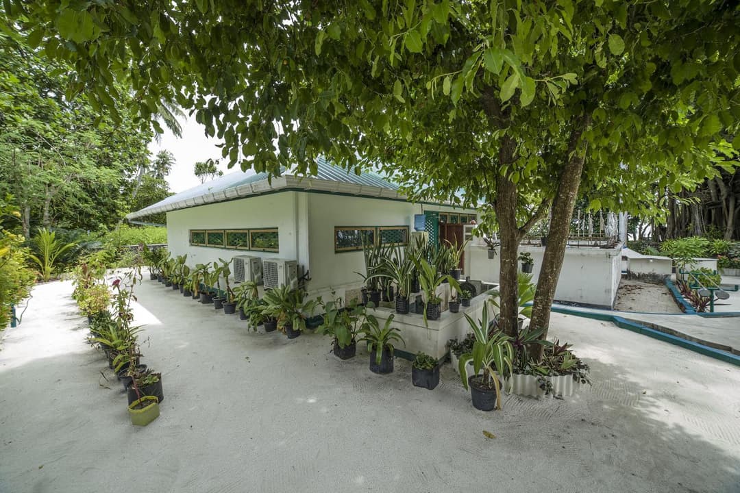 By the shade Maldives - View 80