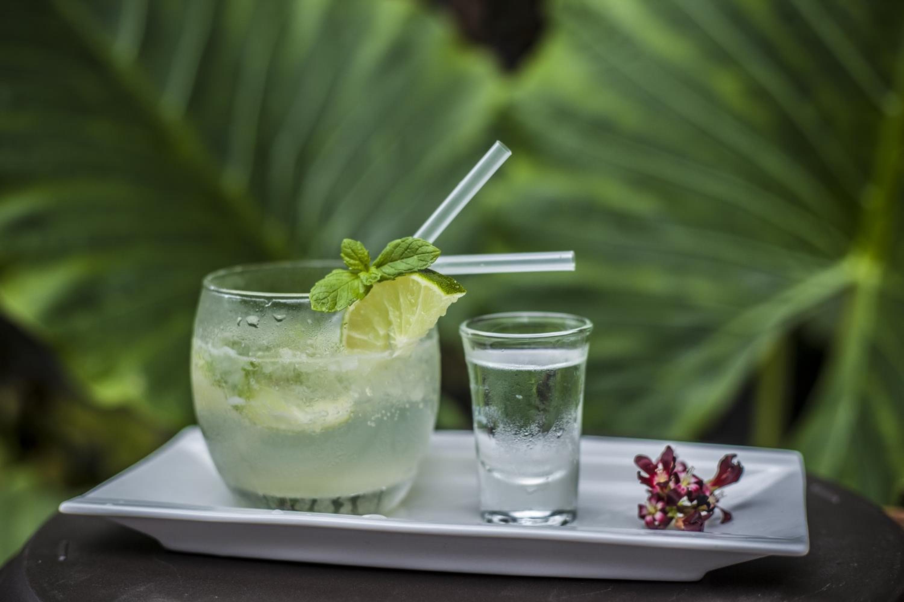 By the shade Maldives - View 81