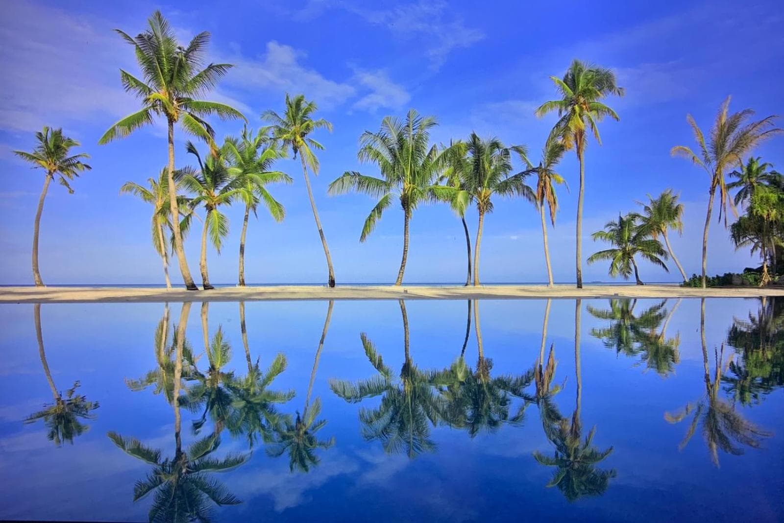 Pullman Maldives Maamutaa - All-Inclusive Resort - 50 percent off Domestic Transfers - View 85