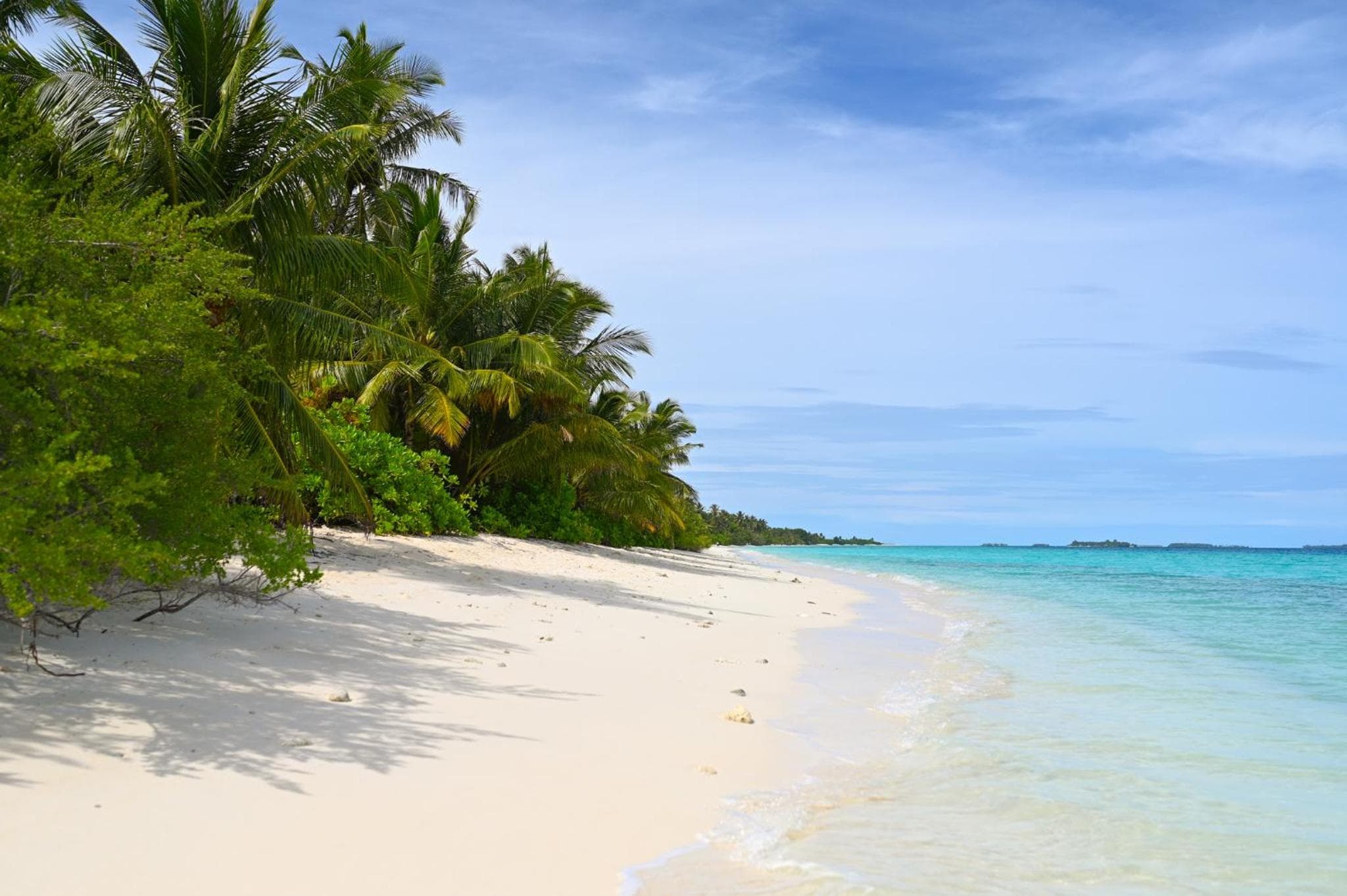 Boutique Beach All Inclusive Diving Hotel - View 28