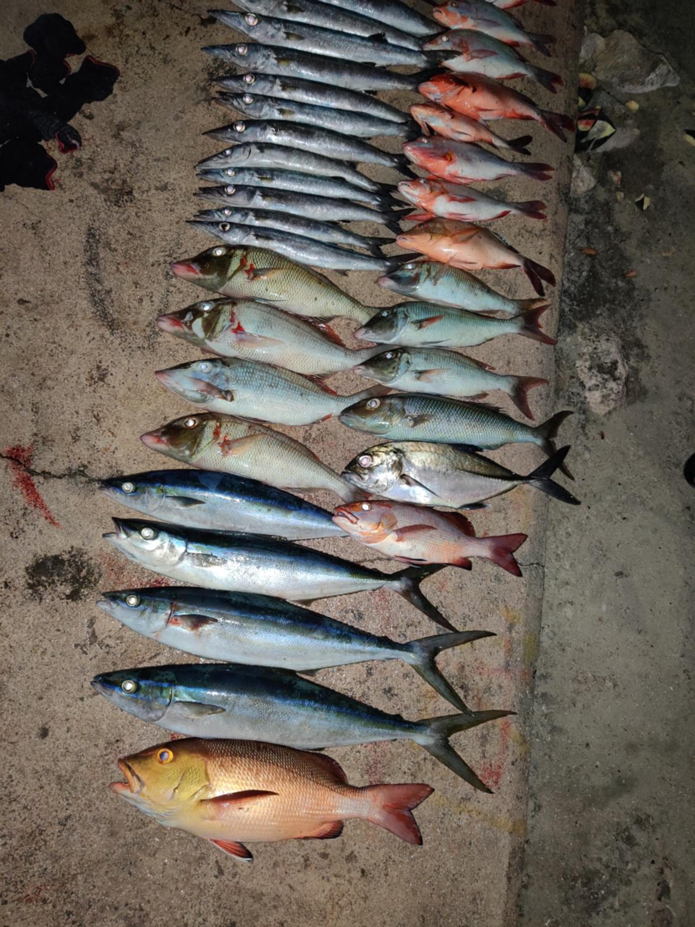 Alesara Guest House - View 68