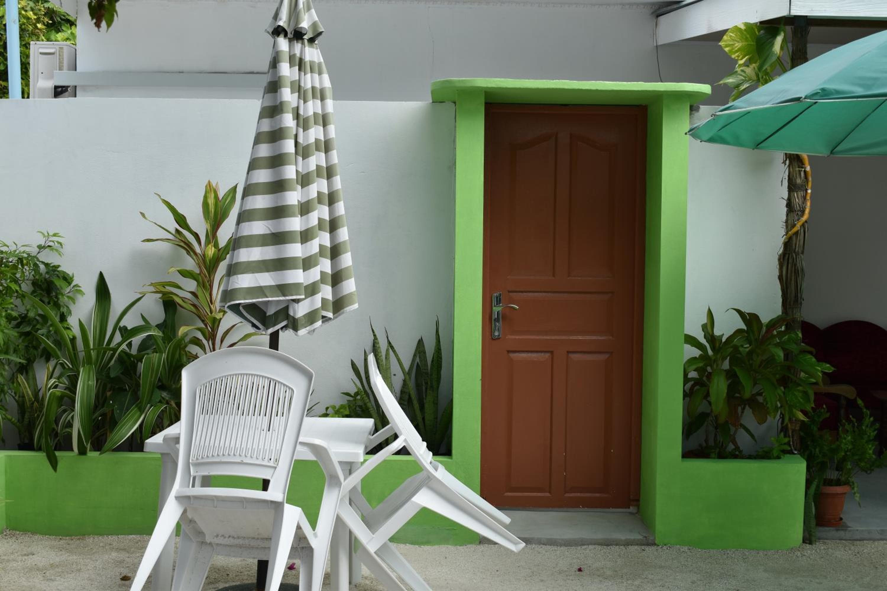 Palm Garden - View 6