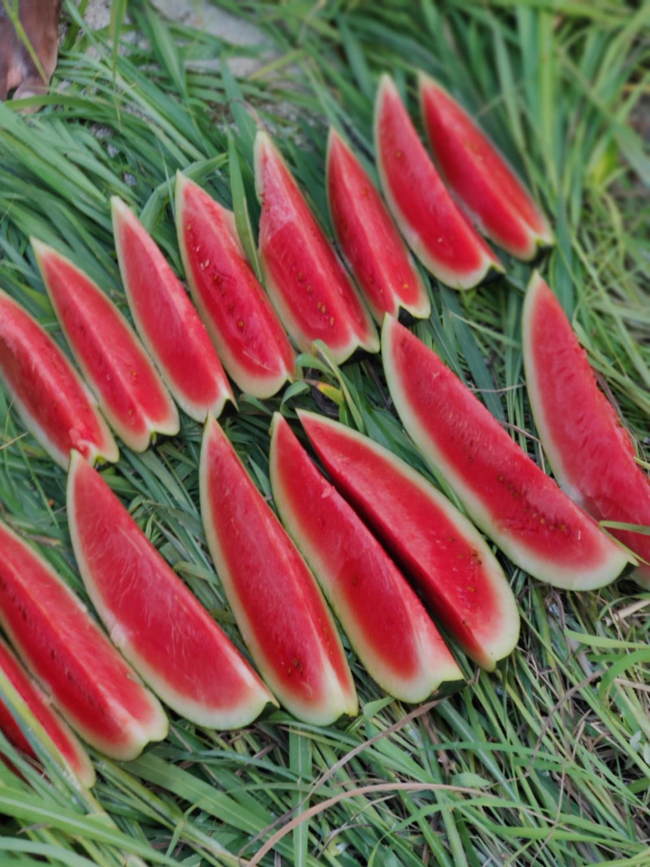 Alesara Guest House - View 32