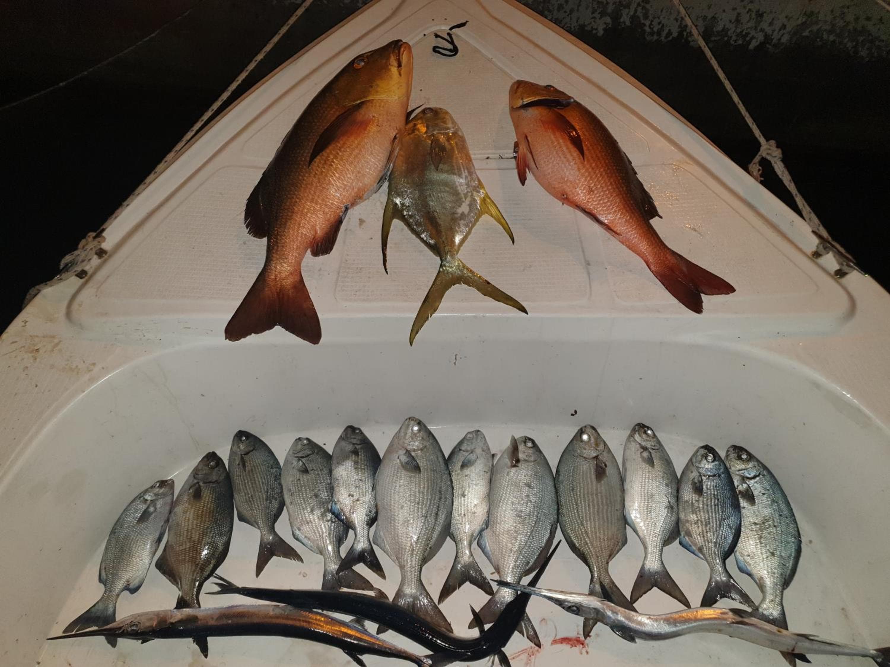 PERLA Dhangethi - View 58