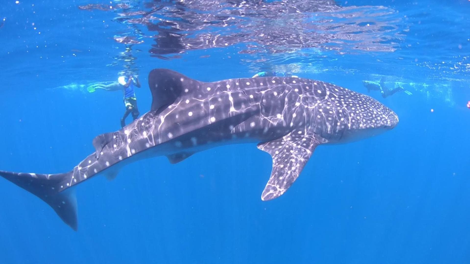 PERLA Dhangethi - View 57