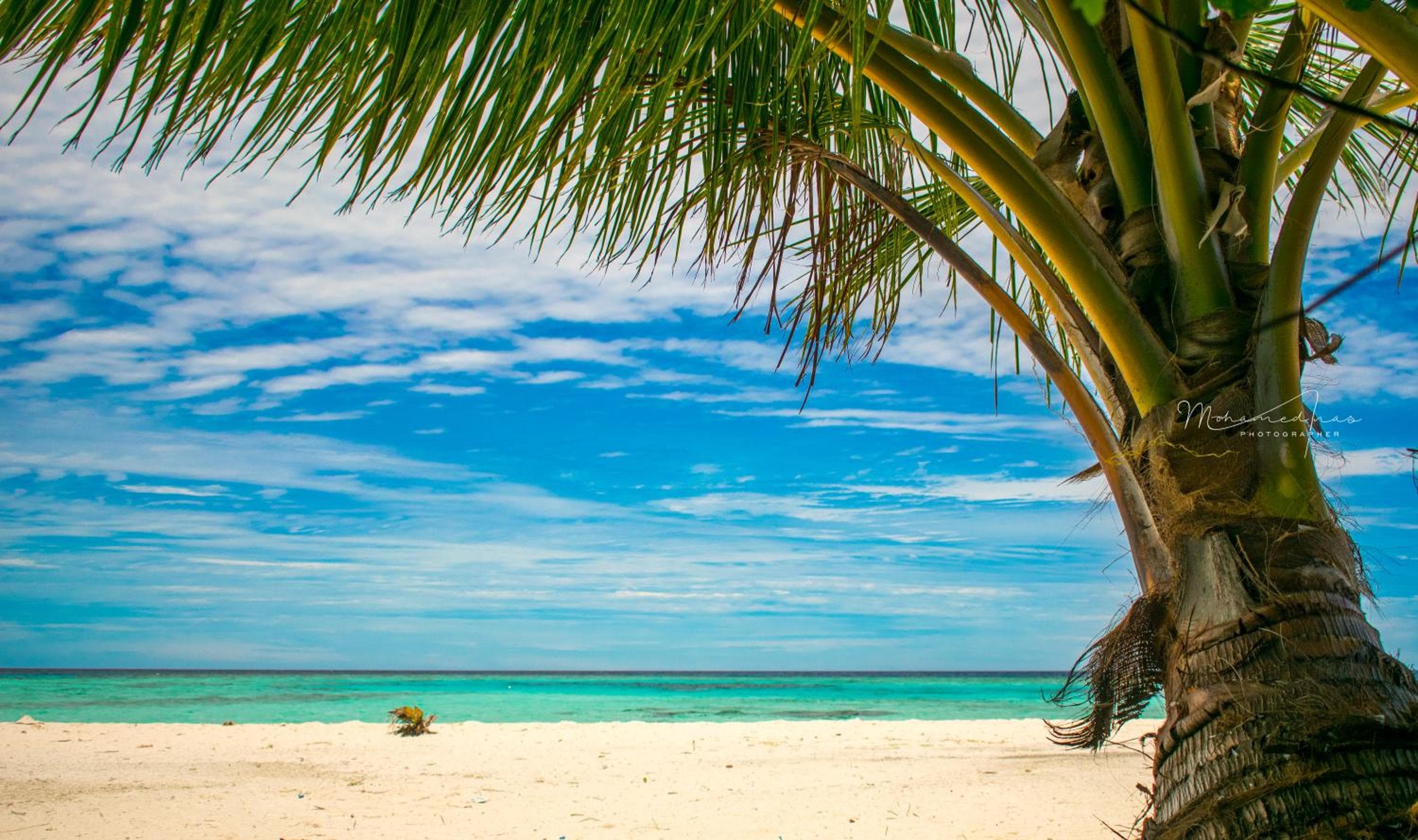 Masfalhi View Inn - View 55