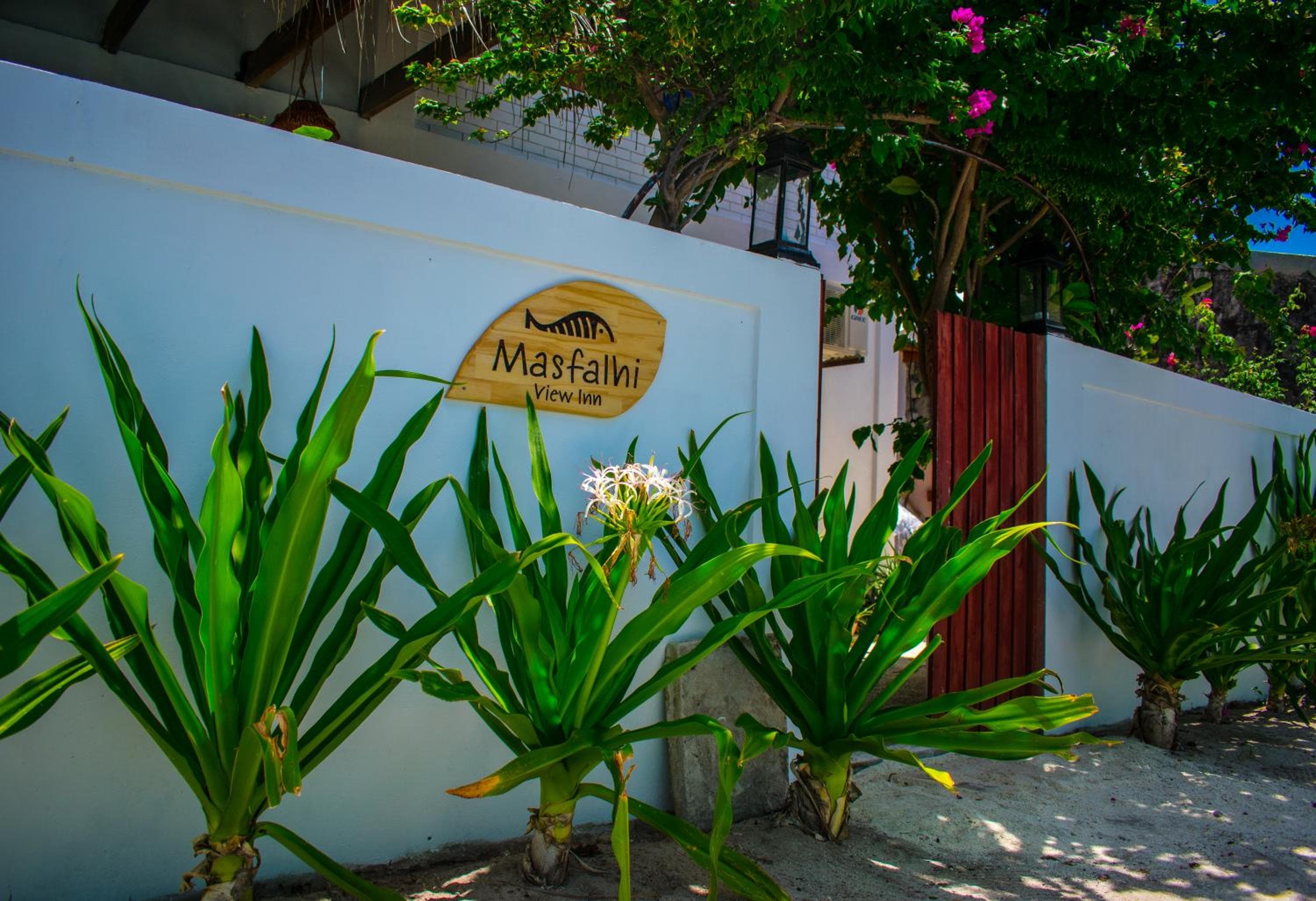 Masfalhi View Inn - View 59