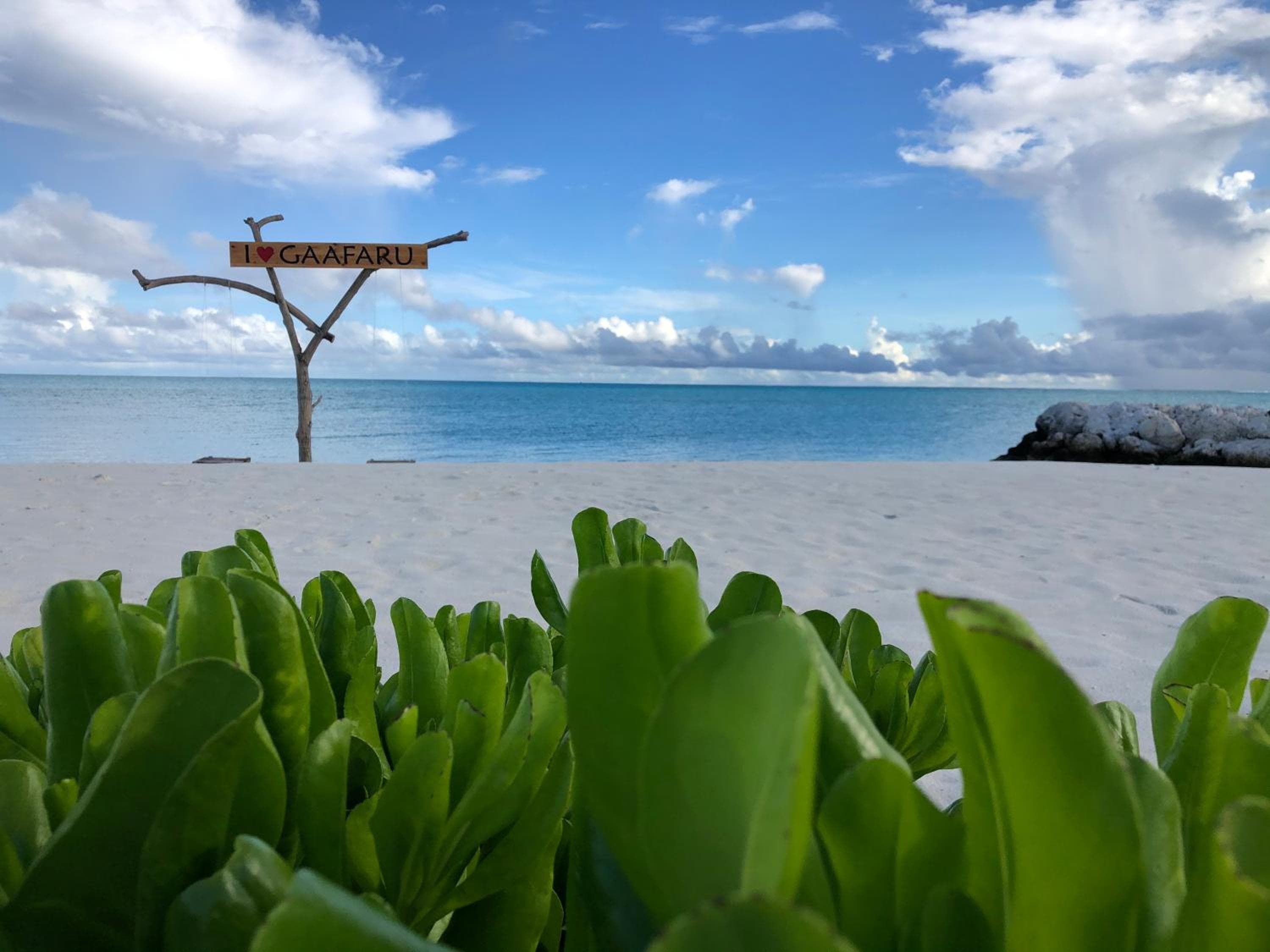 Old Town Inn Maldives - View 14