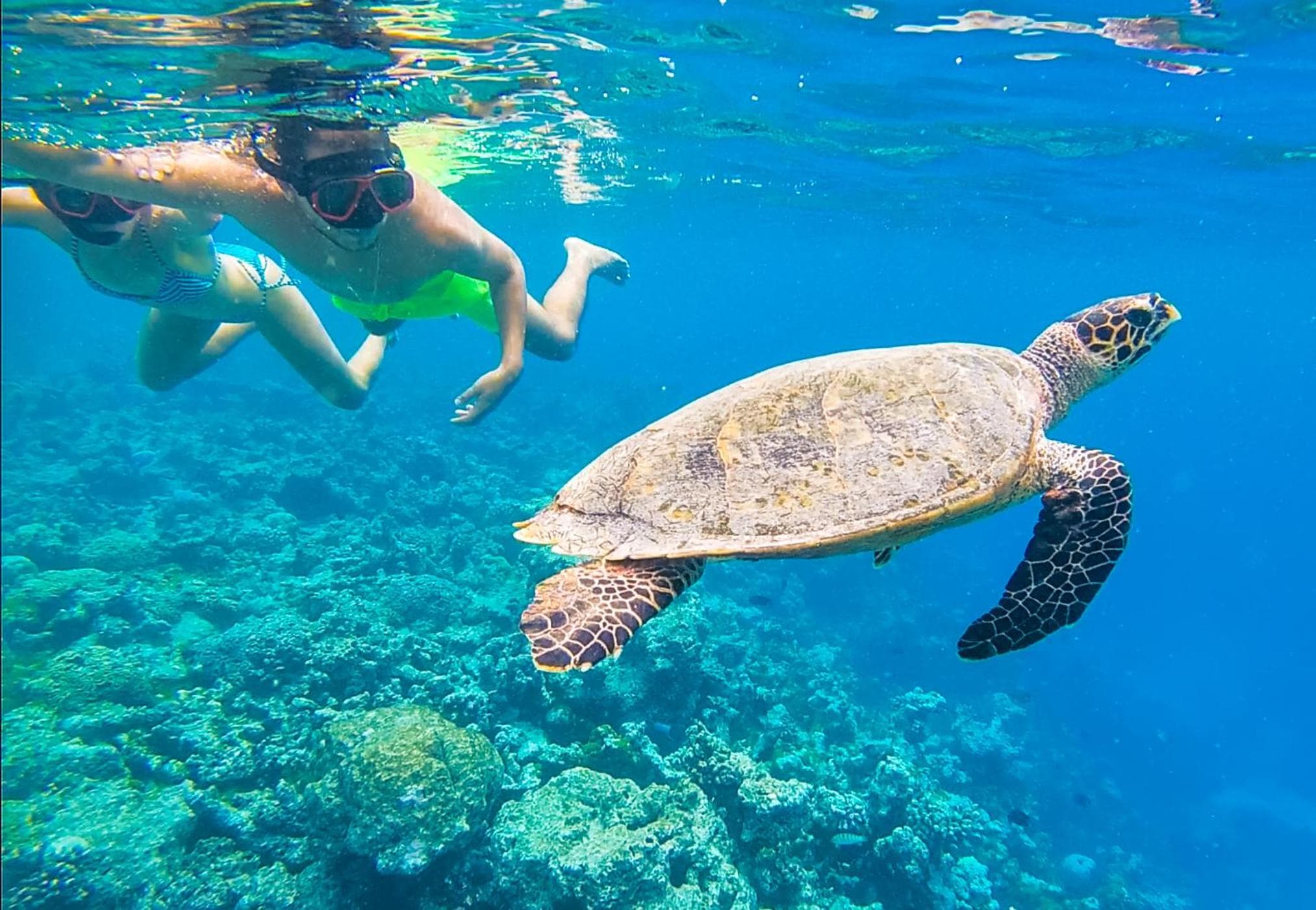 Old Town Inn Maldives - View 12