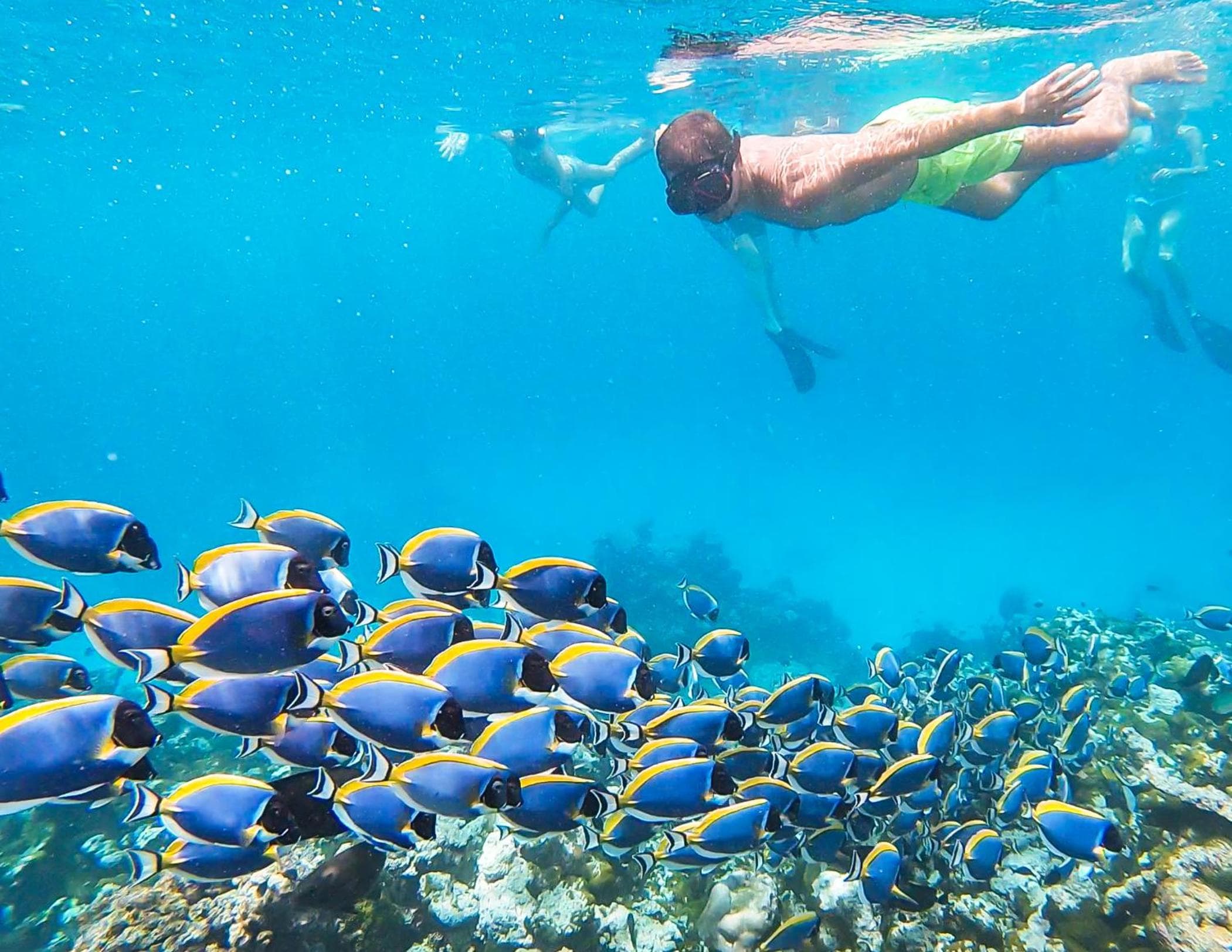 Old Town Inn Maldives - View 11